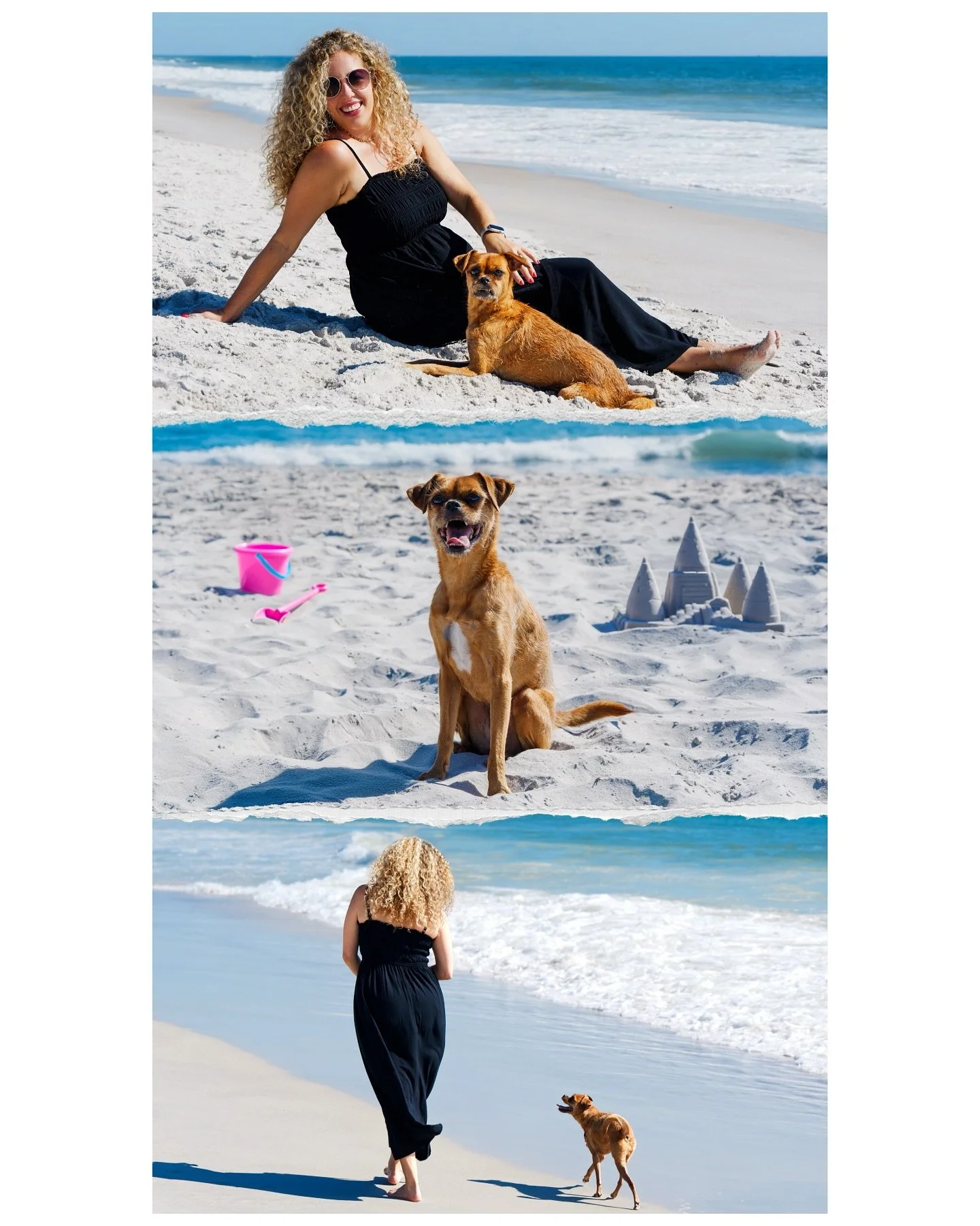 Trixie&rsquo;s 10th Birthday Photoshoot 💖 playing in the sand and ocean tide 🏖️.