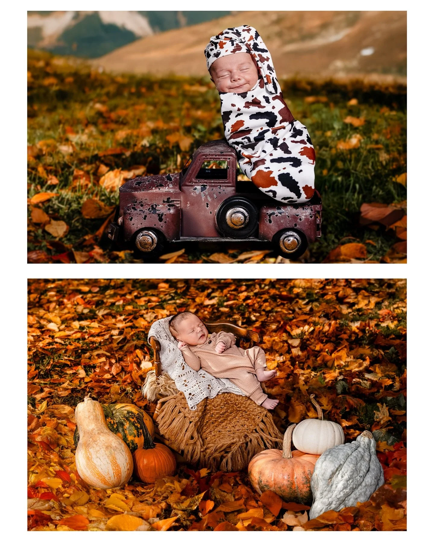 Looking for an affordable freelance photographer to capture your little one? Receive 50% off any package selected on my website for a newborn session, until the end of 2025. Which is in purpose of helping me build a public portfolio, after a year of 