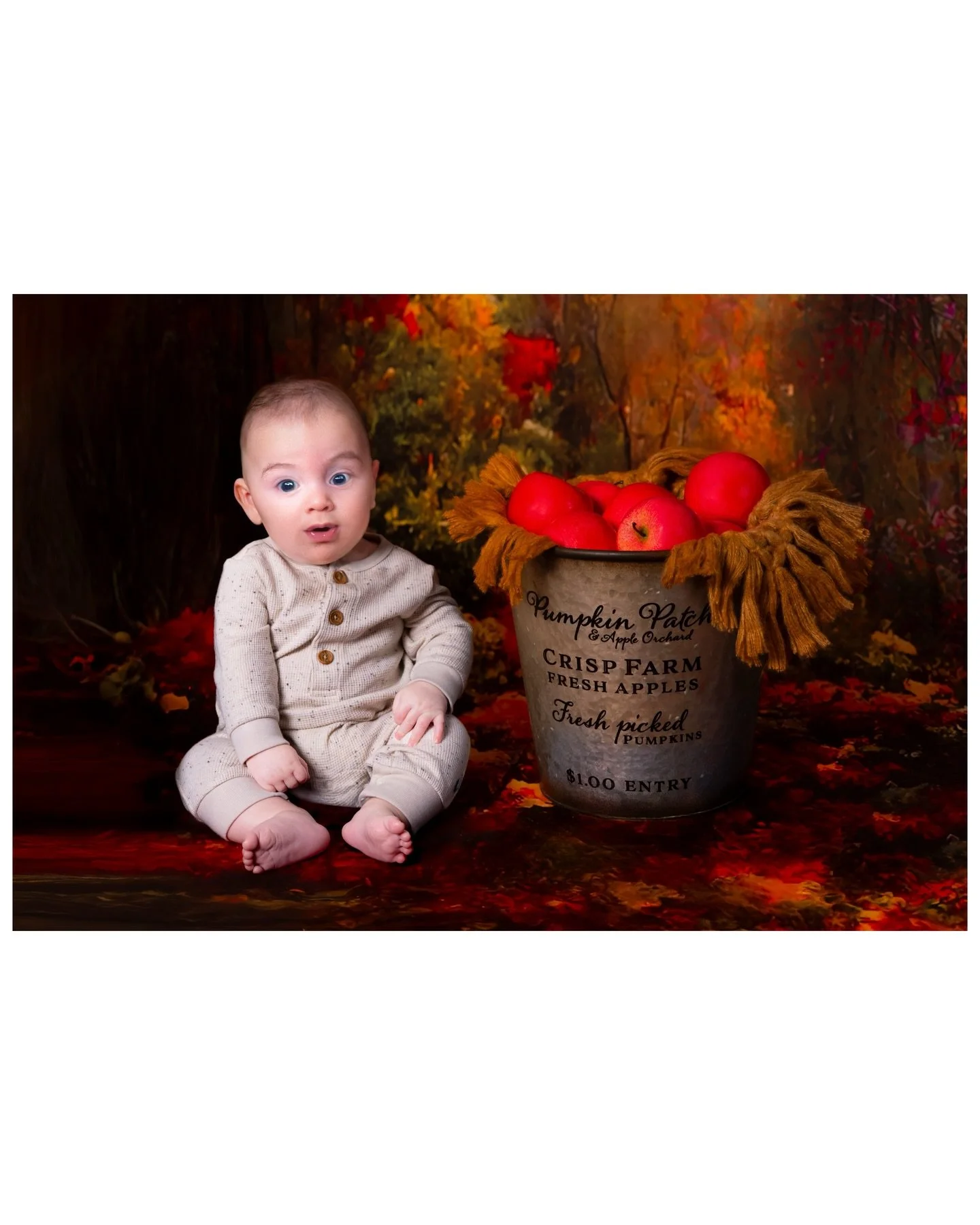 Fall &amp; Christmas sets are both available this Thanksgiving week 🦃! And once reserved, can be brought straight to your home, just for your convenience!