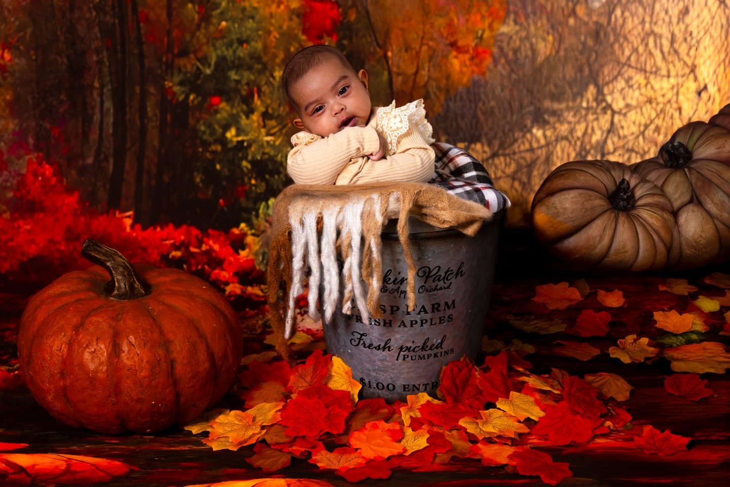One more appreciation post for Fall 🍂 before Christmas completely takes over the remainder of the year! And cannot get over how beautiful this newborn was to photograph!