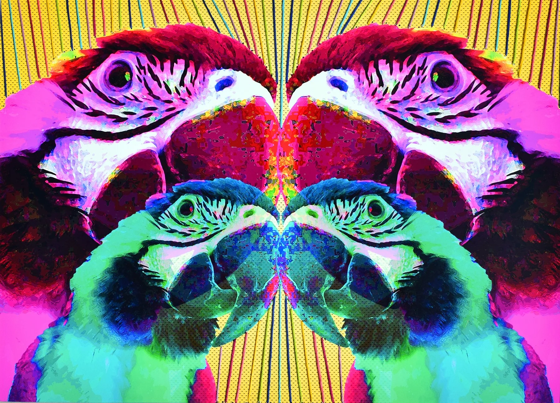 Untitled Bird 4, mixed media collage, 2018, by Lauryn Grubbs