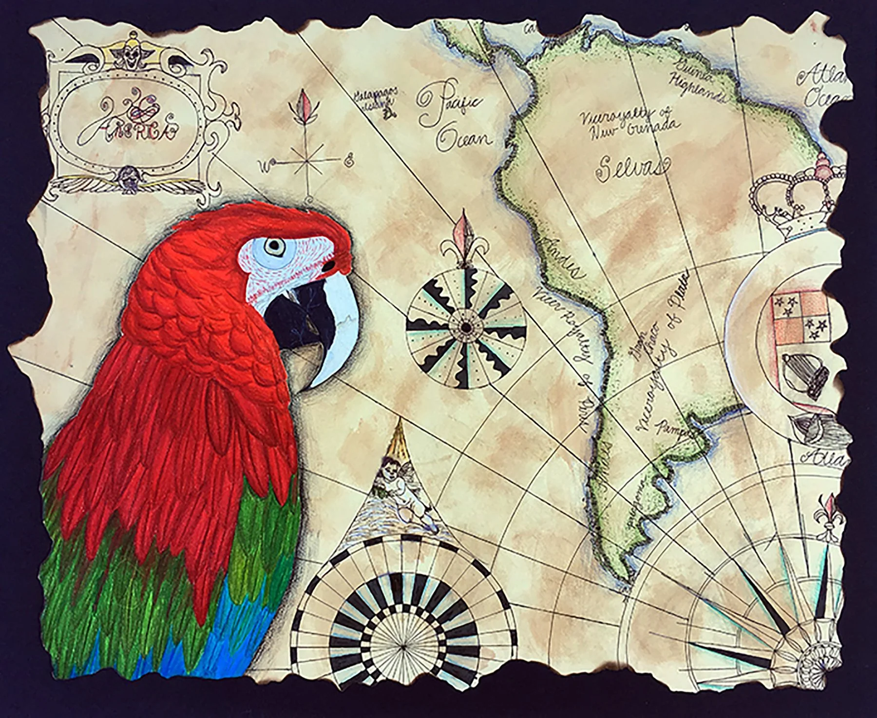 Guacamayo, colored pencil and pen on paper, 2017, by Lauryn Grubbs