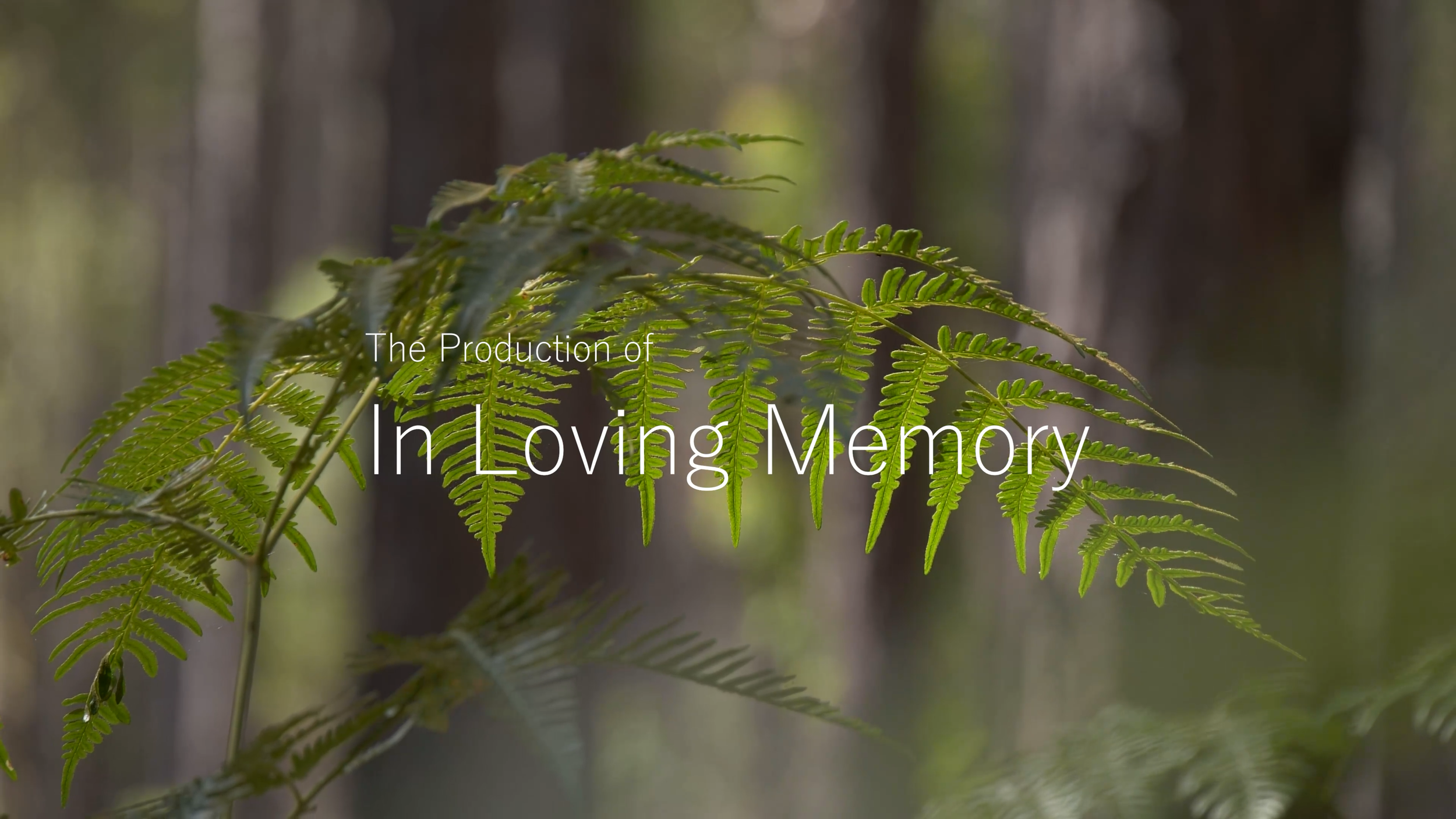 In Loving Memory BTS (1).mp4.00_00_13_20.Still002.png