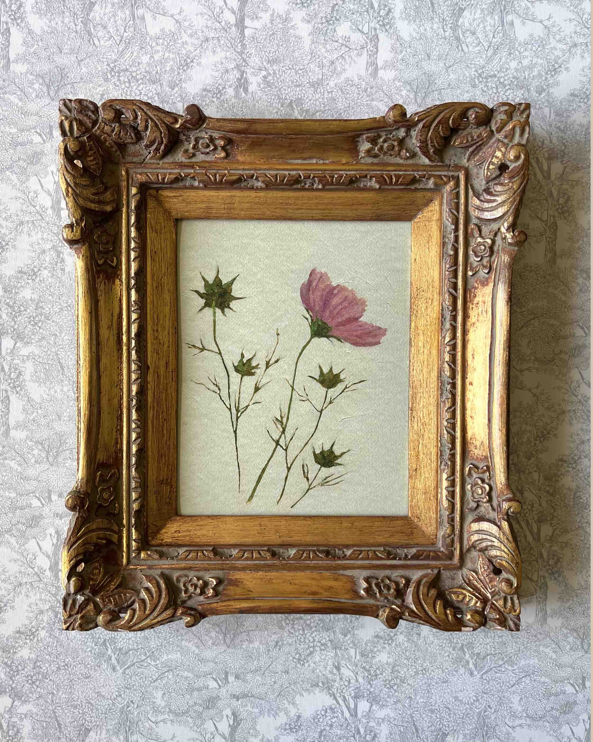 "Cosmos Study iv" giclee print