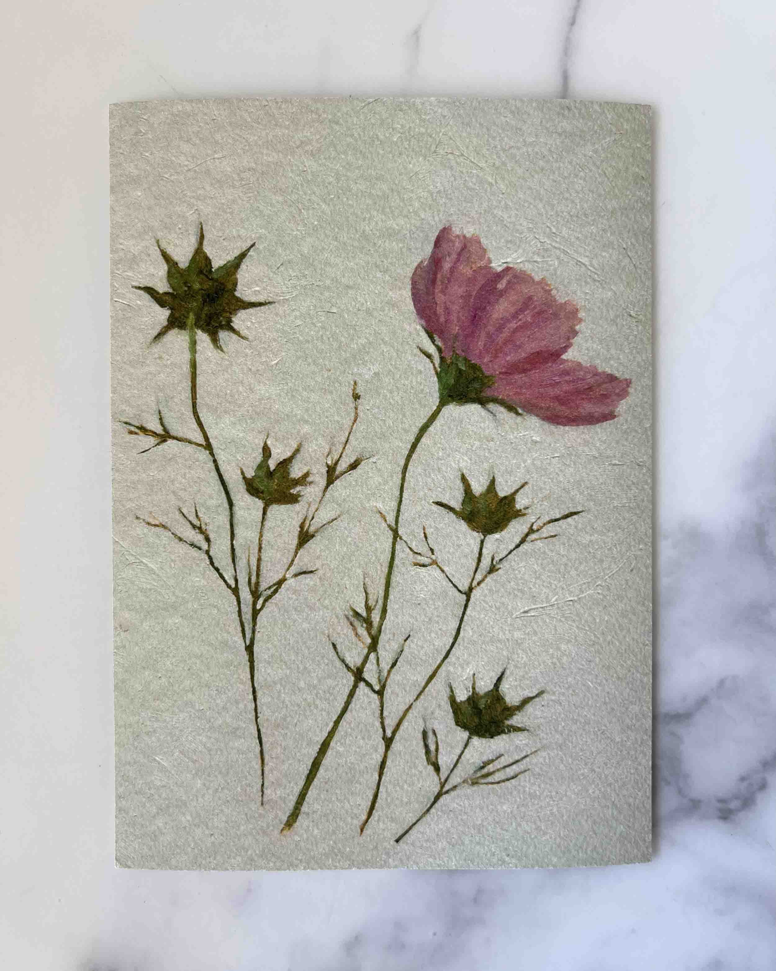 "Cosmos Study iv" giclee print