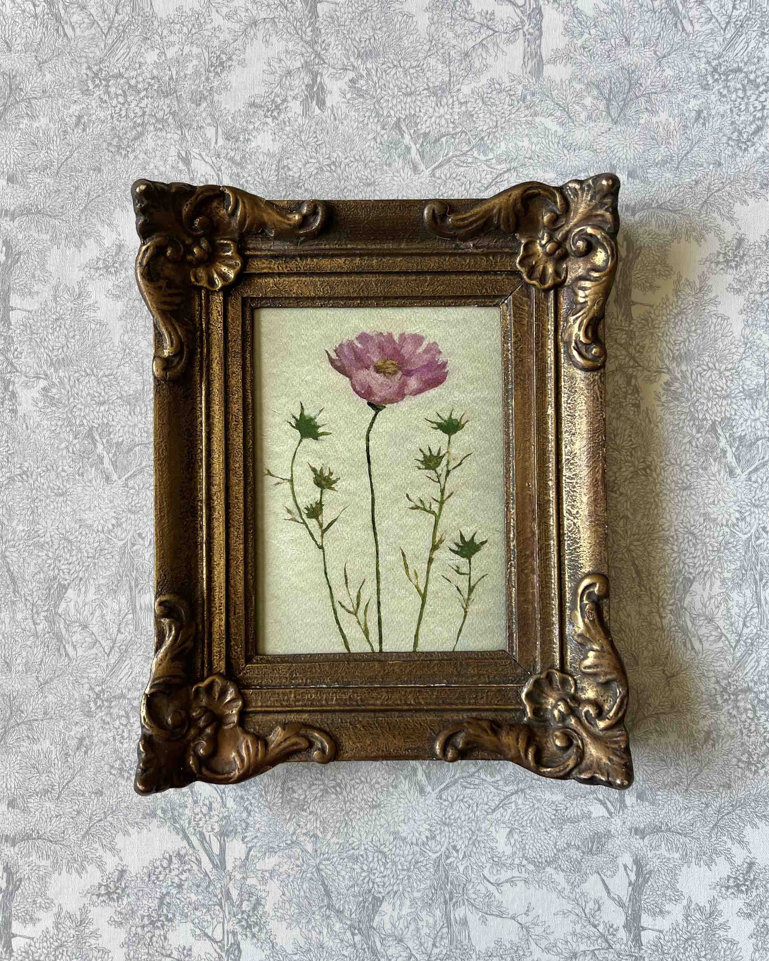 "Cosmos Study iii" giclee print