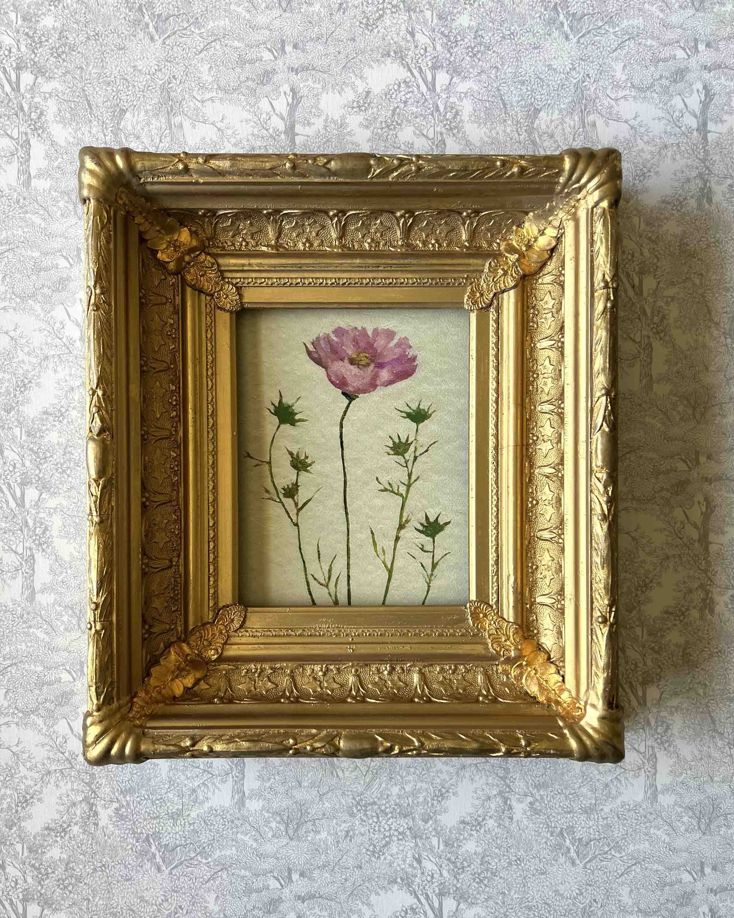 "Cosmos Study iii" giclee print