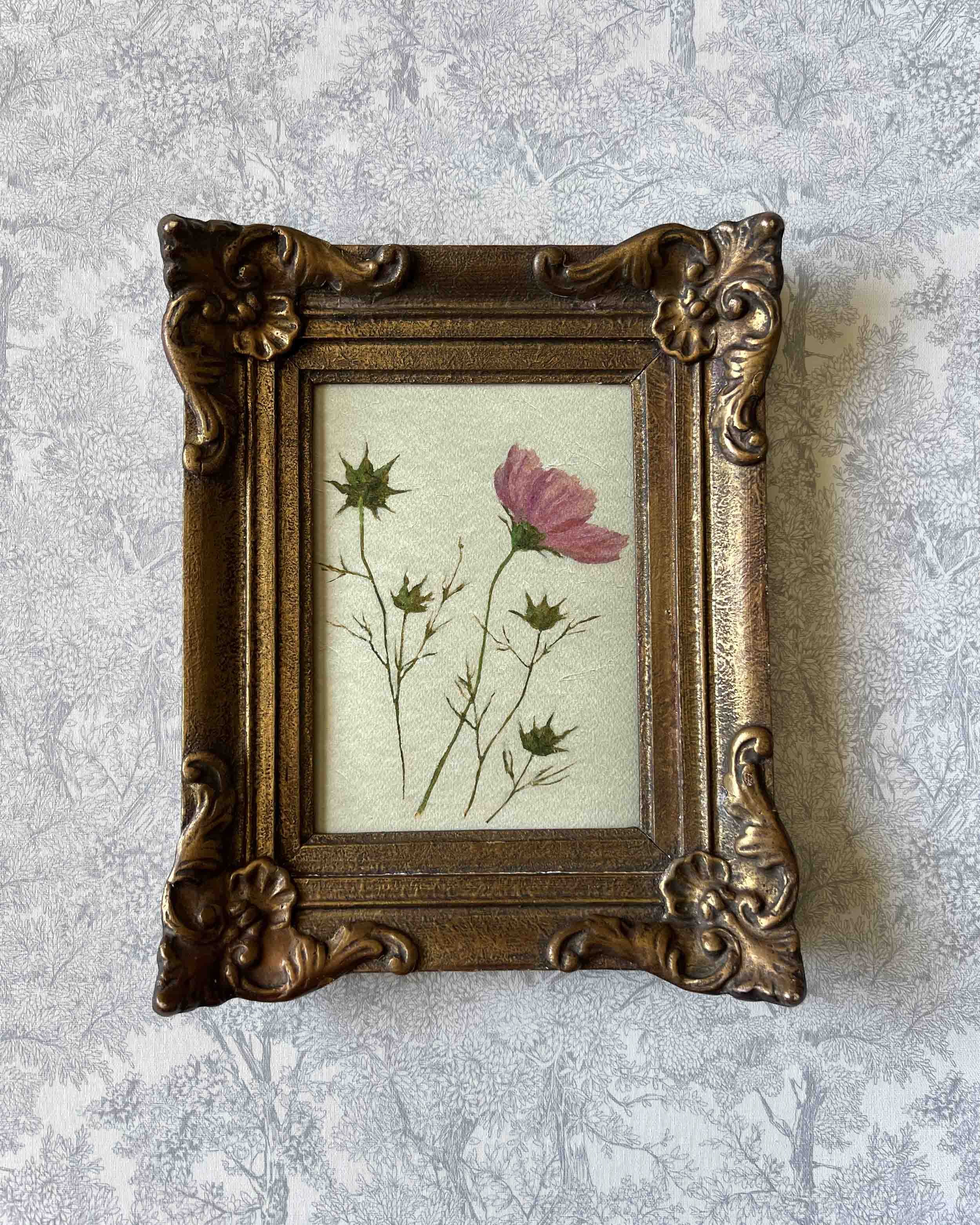 "Cosmos Study iv" giclee print