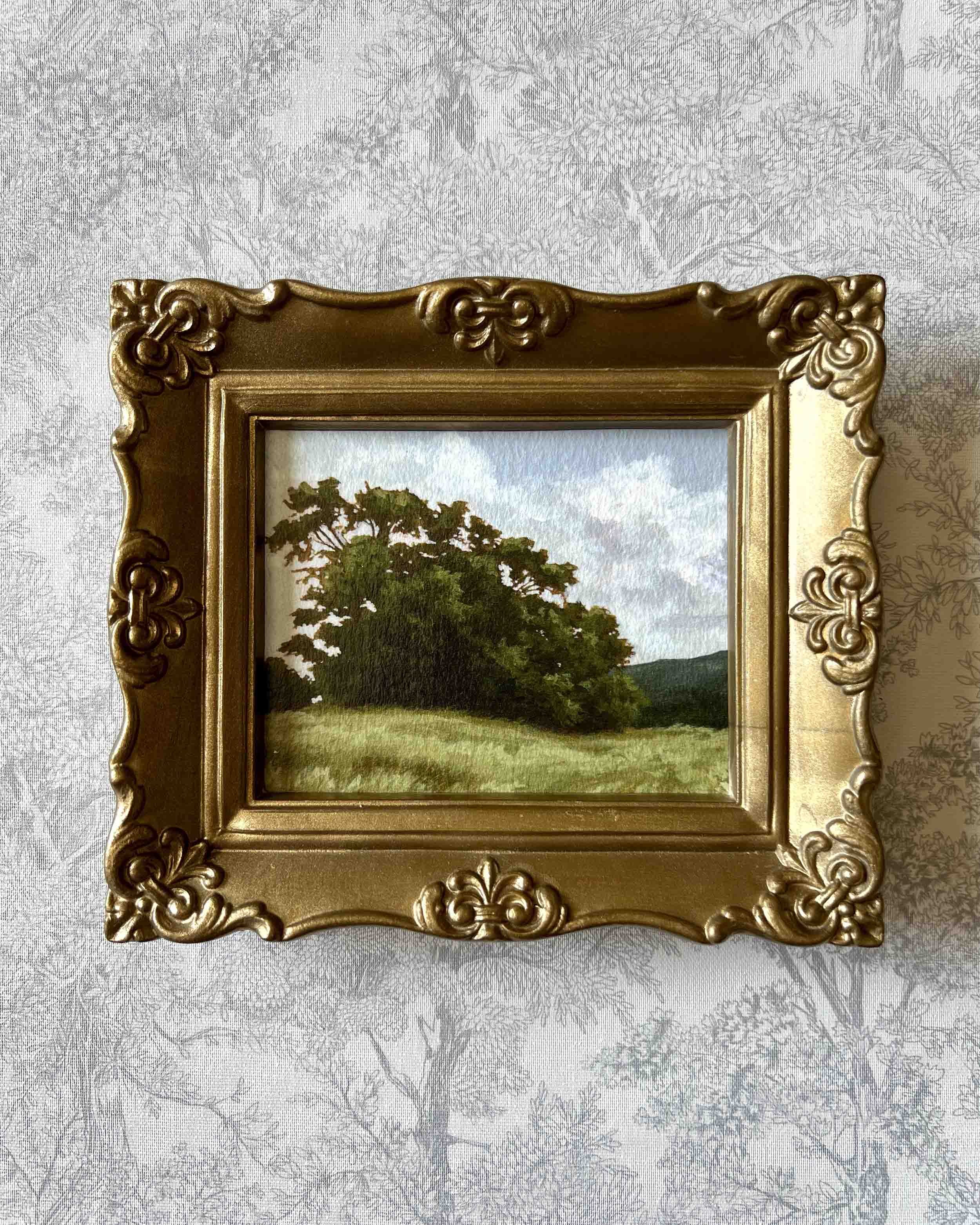 "Summer Tree ii" Framed Print