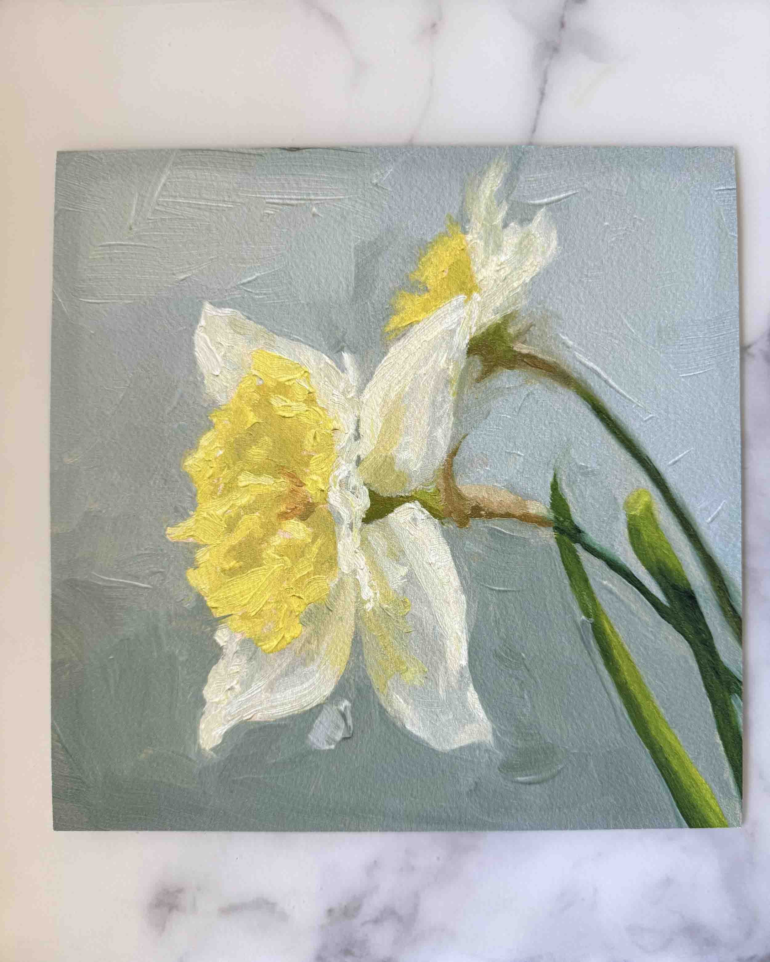 Daffodil | Giclee Print 8x8"