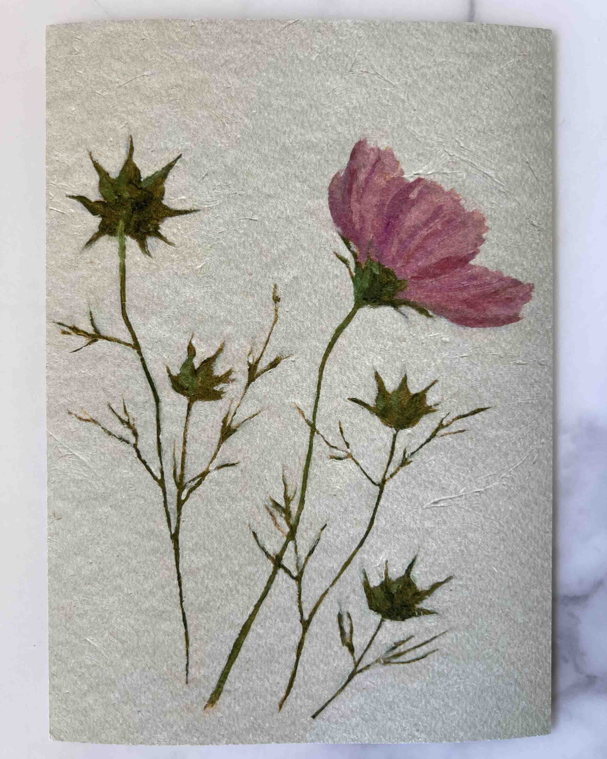 "Cosmos Study iv" giclee print