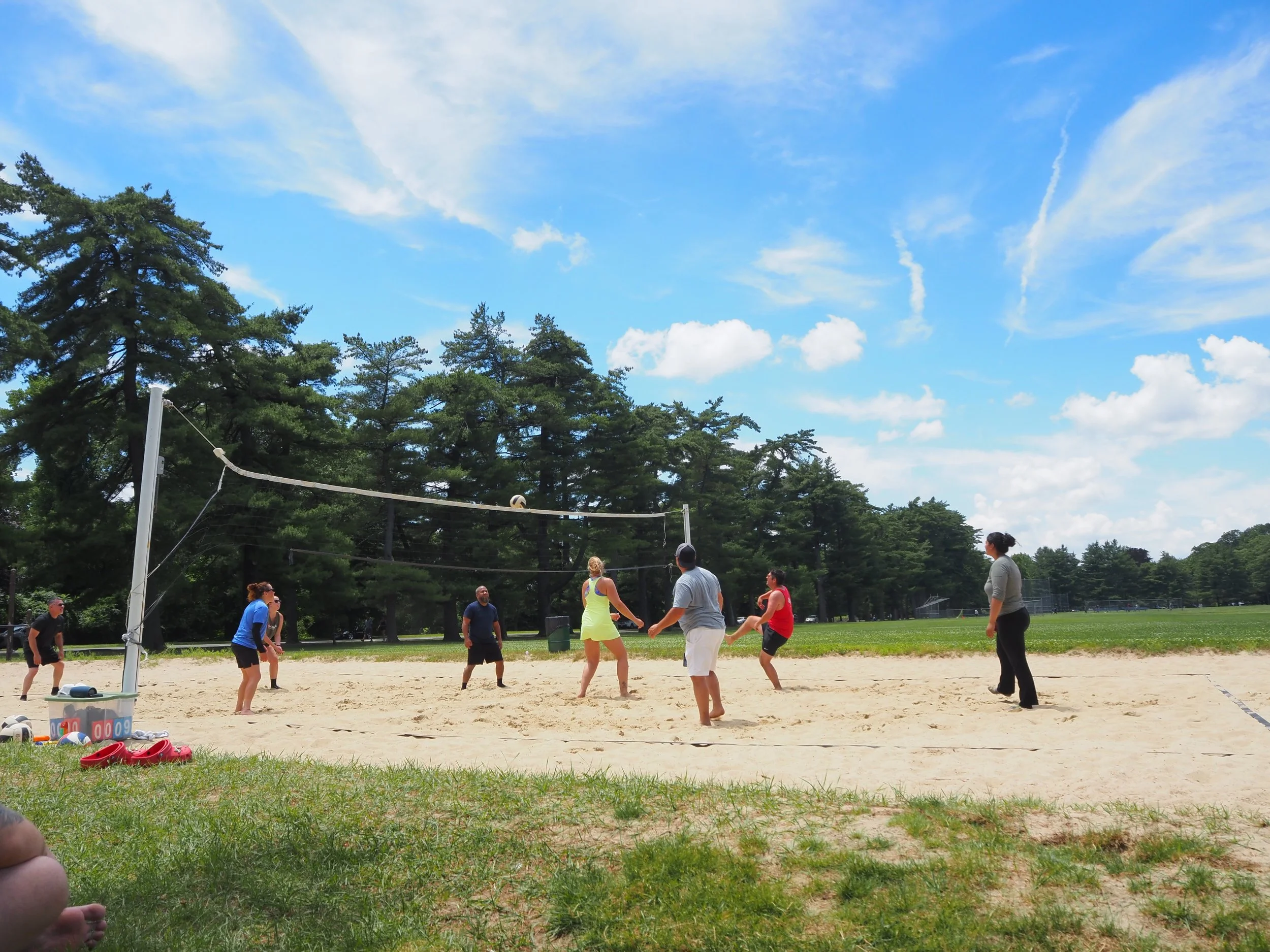 PVS_Volleyball_3.png