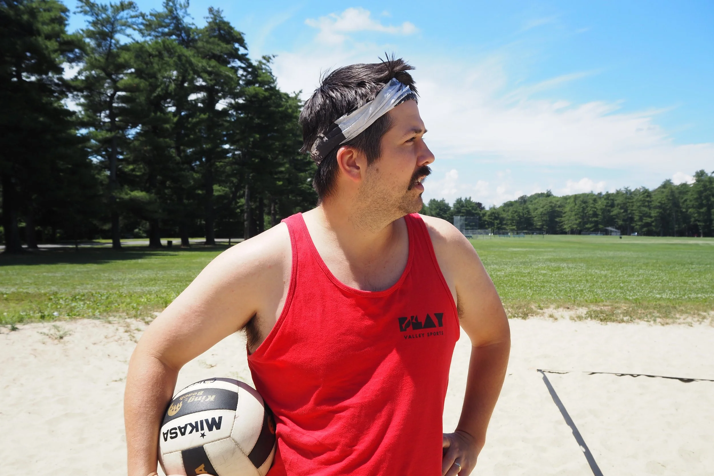 PVS_Volleyball_2.png