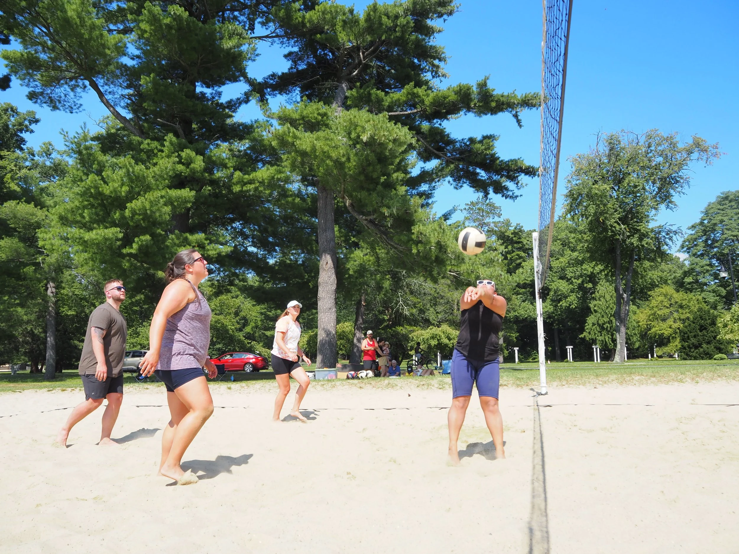 PVS_Volleyball_9.JPG