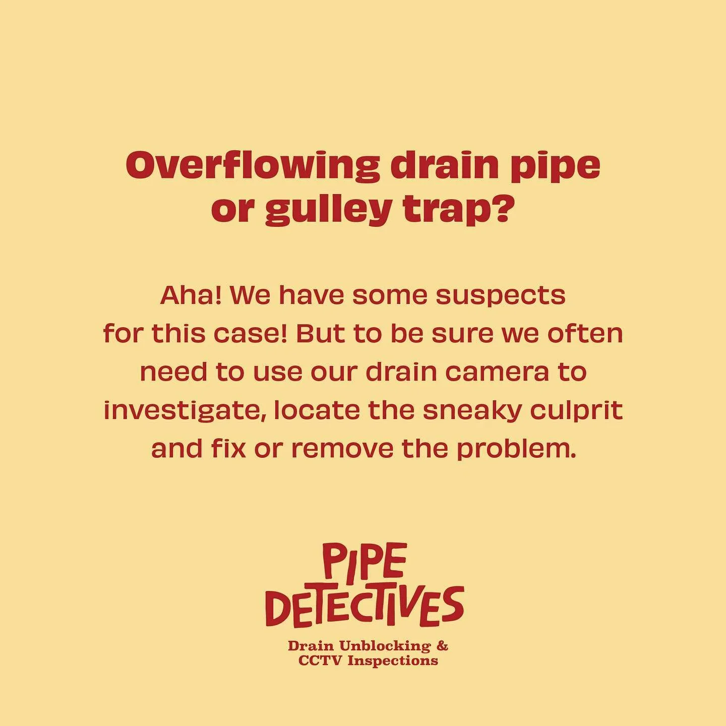 Get Pipe Detectives to uncover some clues and get your pipes flowing  as they should 👍🚰

@pipedetectives #pipedetectives #taurangadrainunblocking #taurangacctvinspections