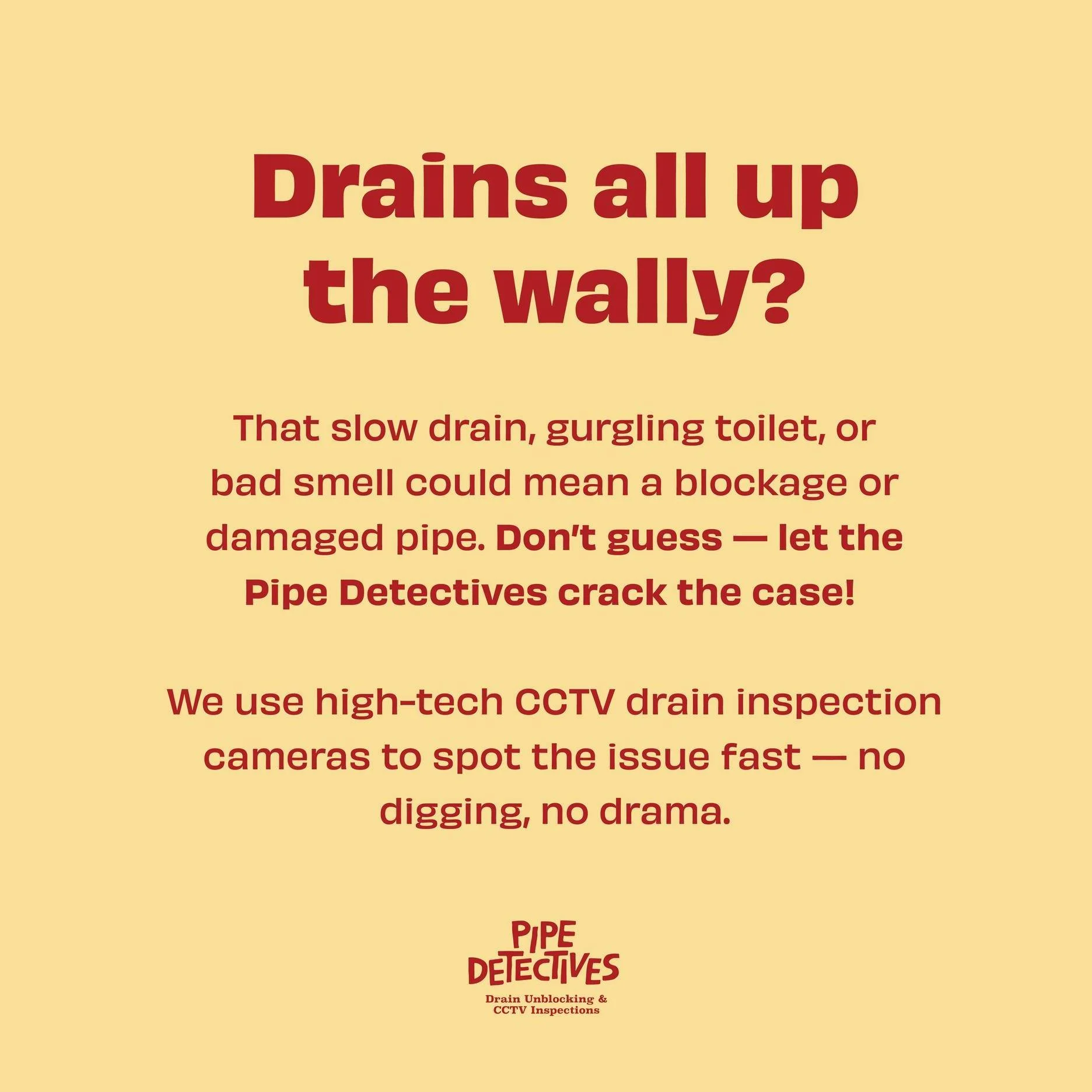 Get Pipe Detectives to uncover some clues and get your pipes flowing as they should 👍🚰
@pipedetectives #pipedetectives #taurangaplumbers #bayofplentyplumbers
