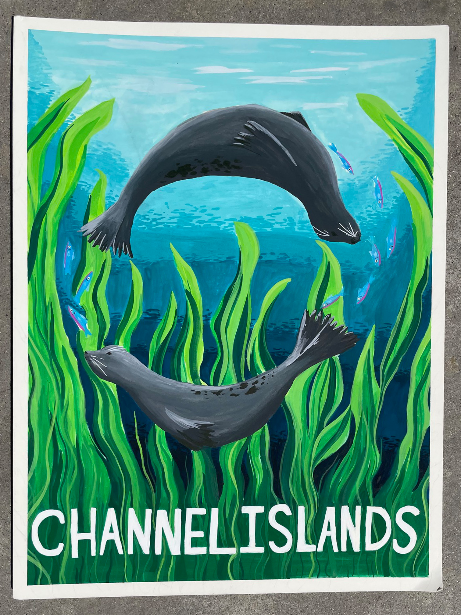 Seals.png