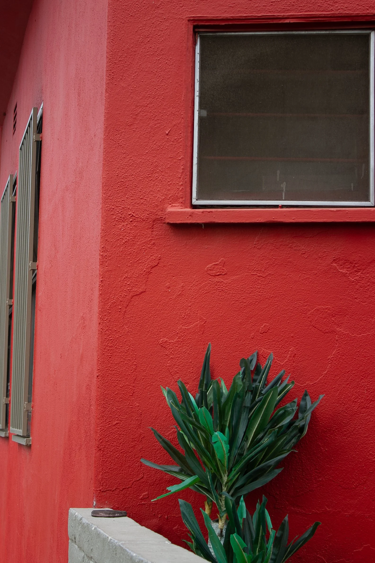 MarleneCastro_Color_2.jpg