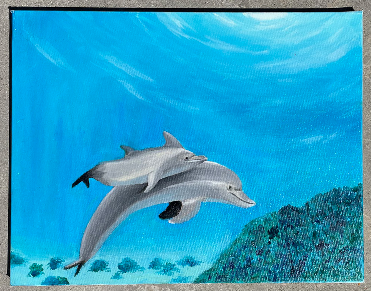Dolphins.png