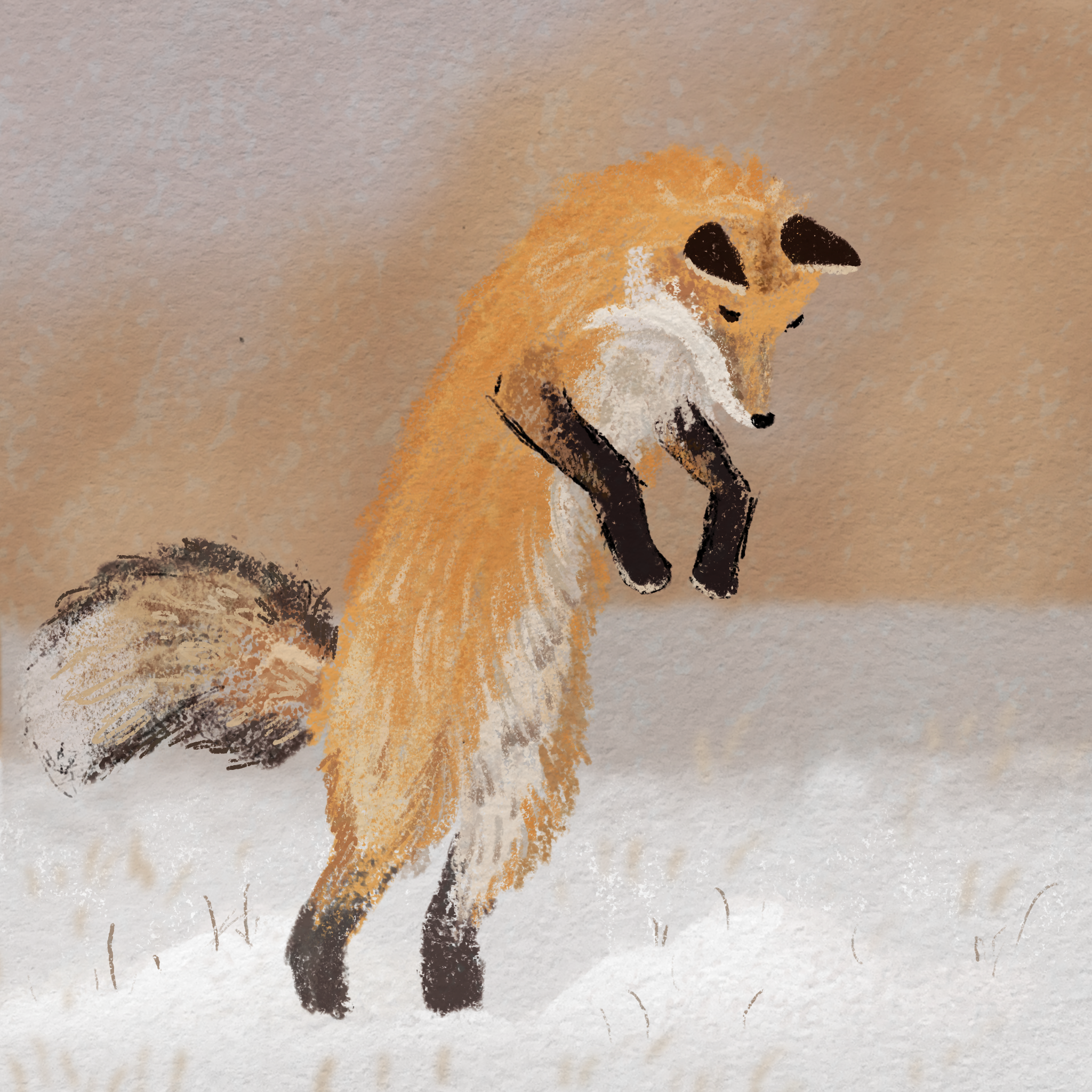 Untitled_Artwork (11).png