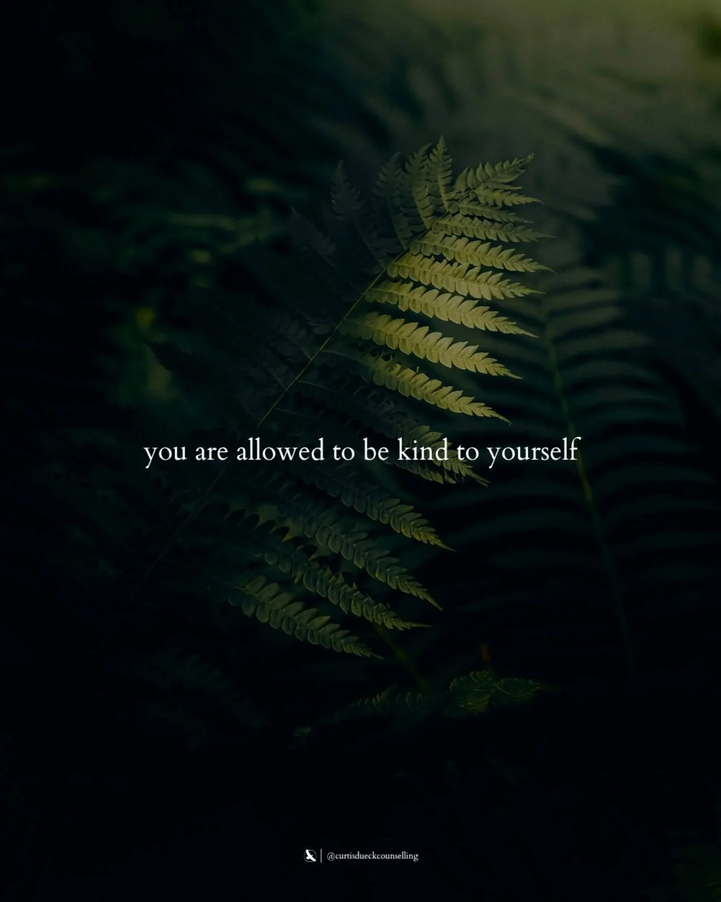 When did you start believing being kind to yourself was a weakness?

Probably when you were shown or told it was.

If we don&rsquo;t see kindness being given in the face of mistakes or errors, it&rsquo;s natural to believe we can&rsquo;t apply it.

O
