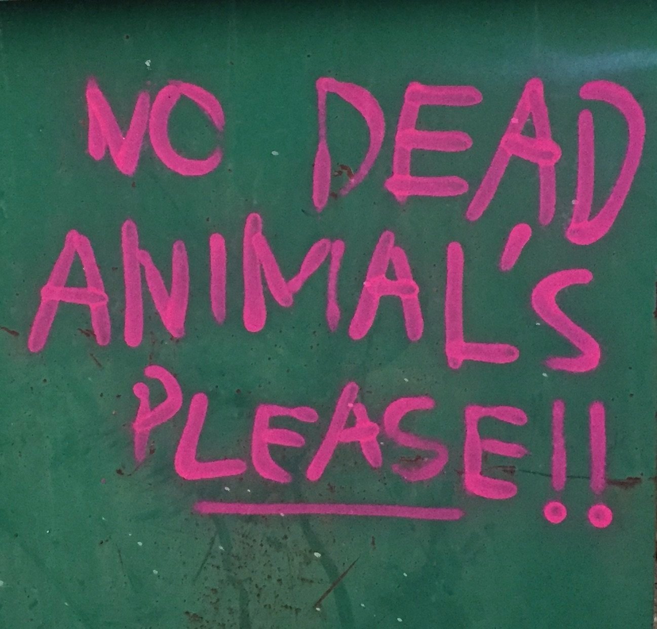 NO DEAD ANIMALS PLEASE!!