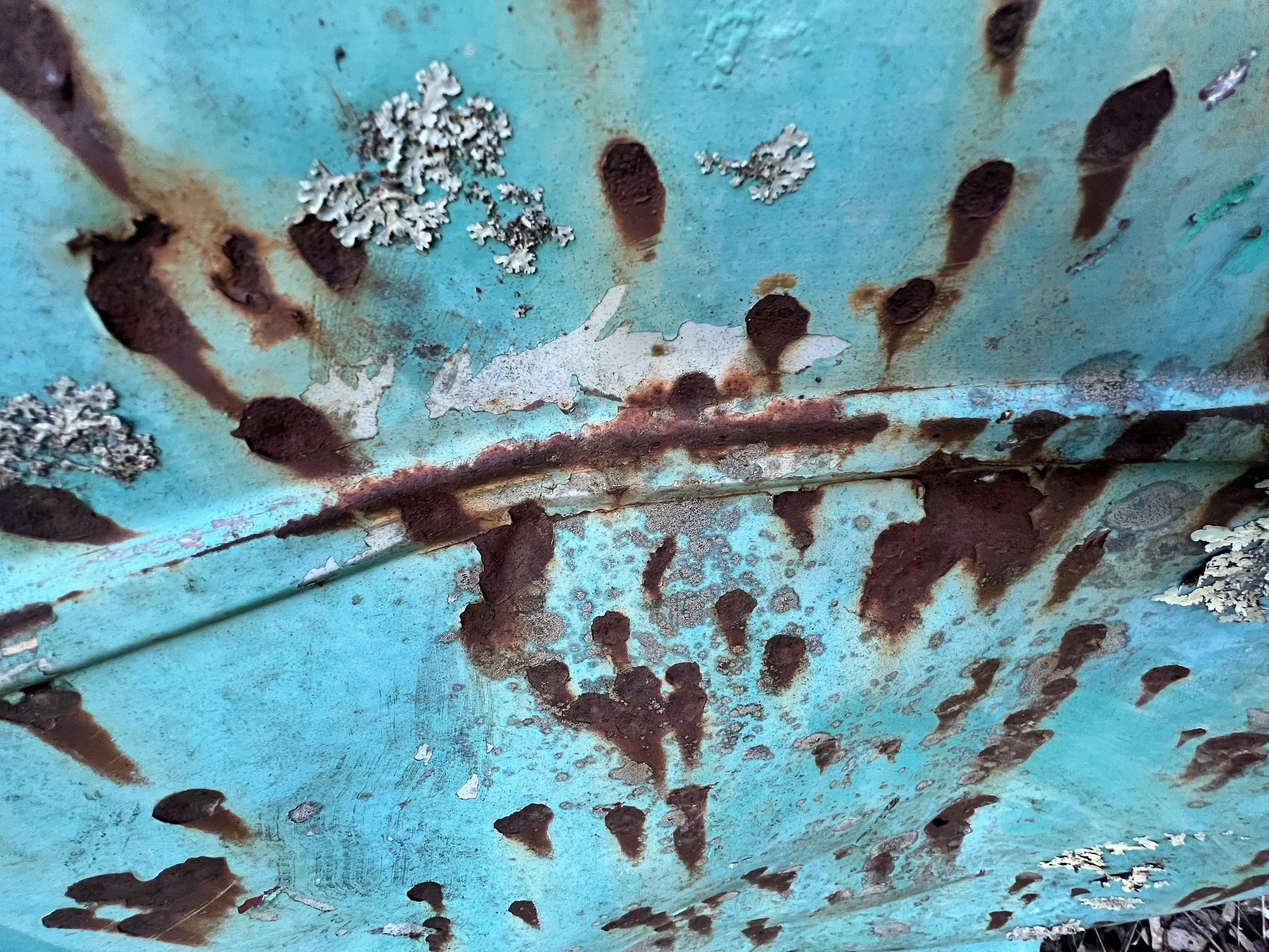 Rubbish and goldfields