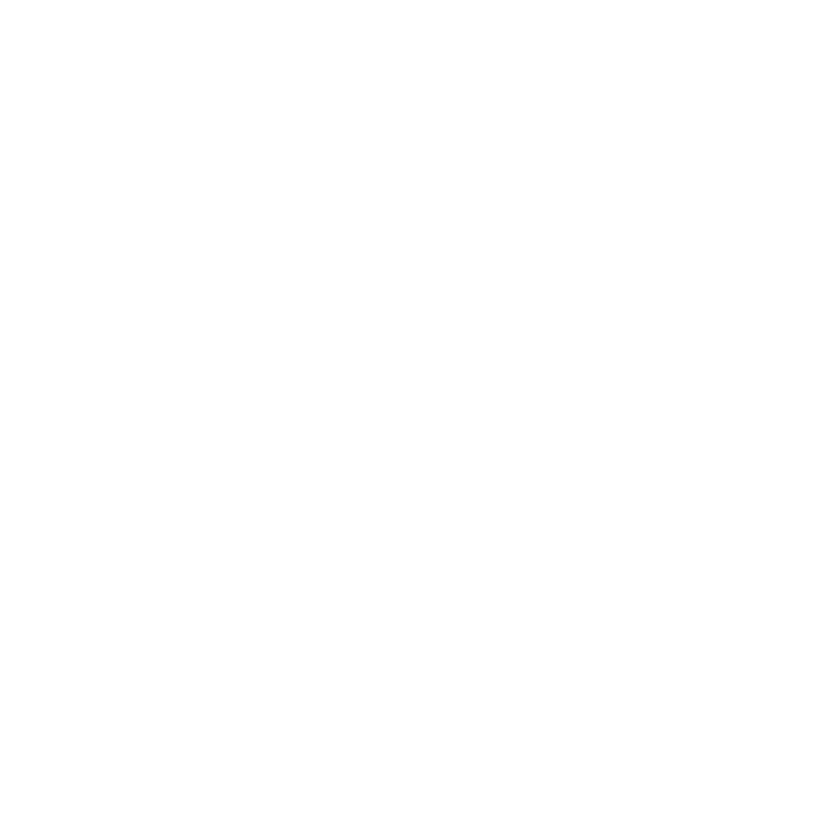 Toyota.png