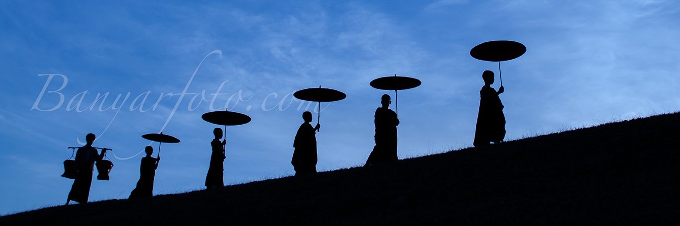 Young Monks.