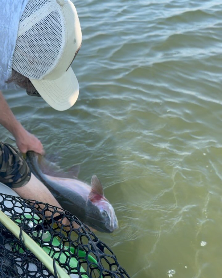 Excited to guide and get out on this lake more as the weather gets colder, I think it&rsquo;s gonna turn on big time! Fishing was still great yesterday but it only gets better from here out. There are bows, browns, and some brook trout in this lake, 