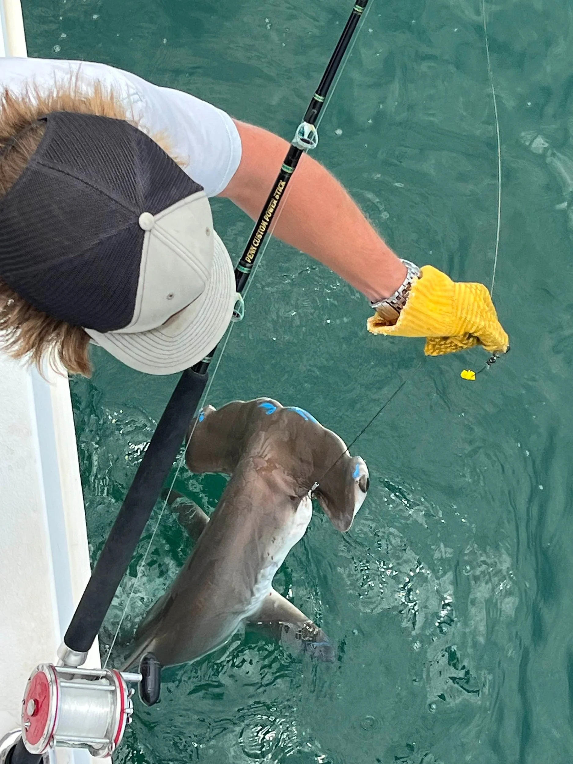 OBX Outer Banks shark fishing