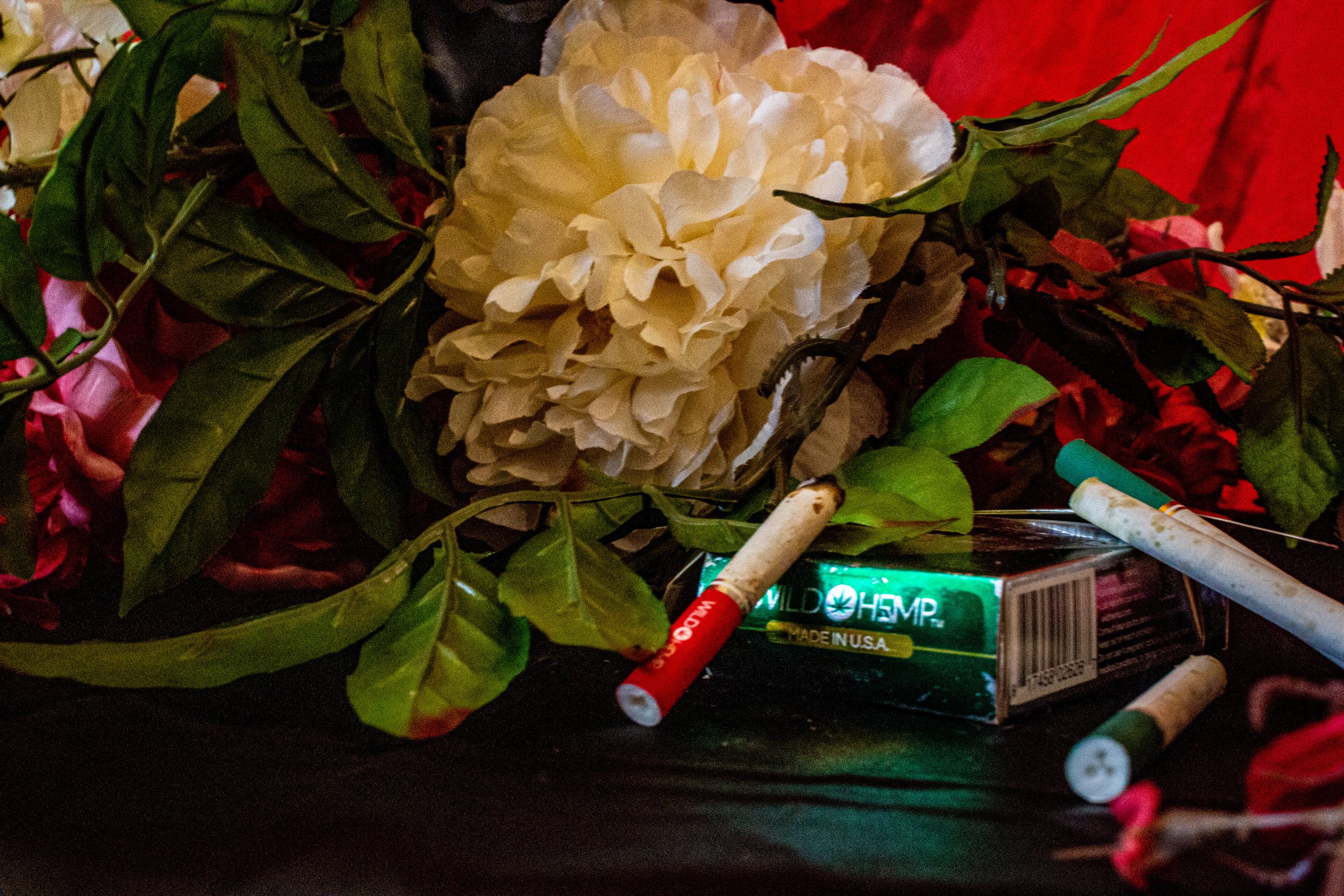 cigs- Port 29_1.jpg