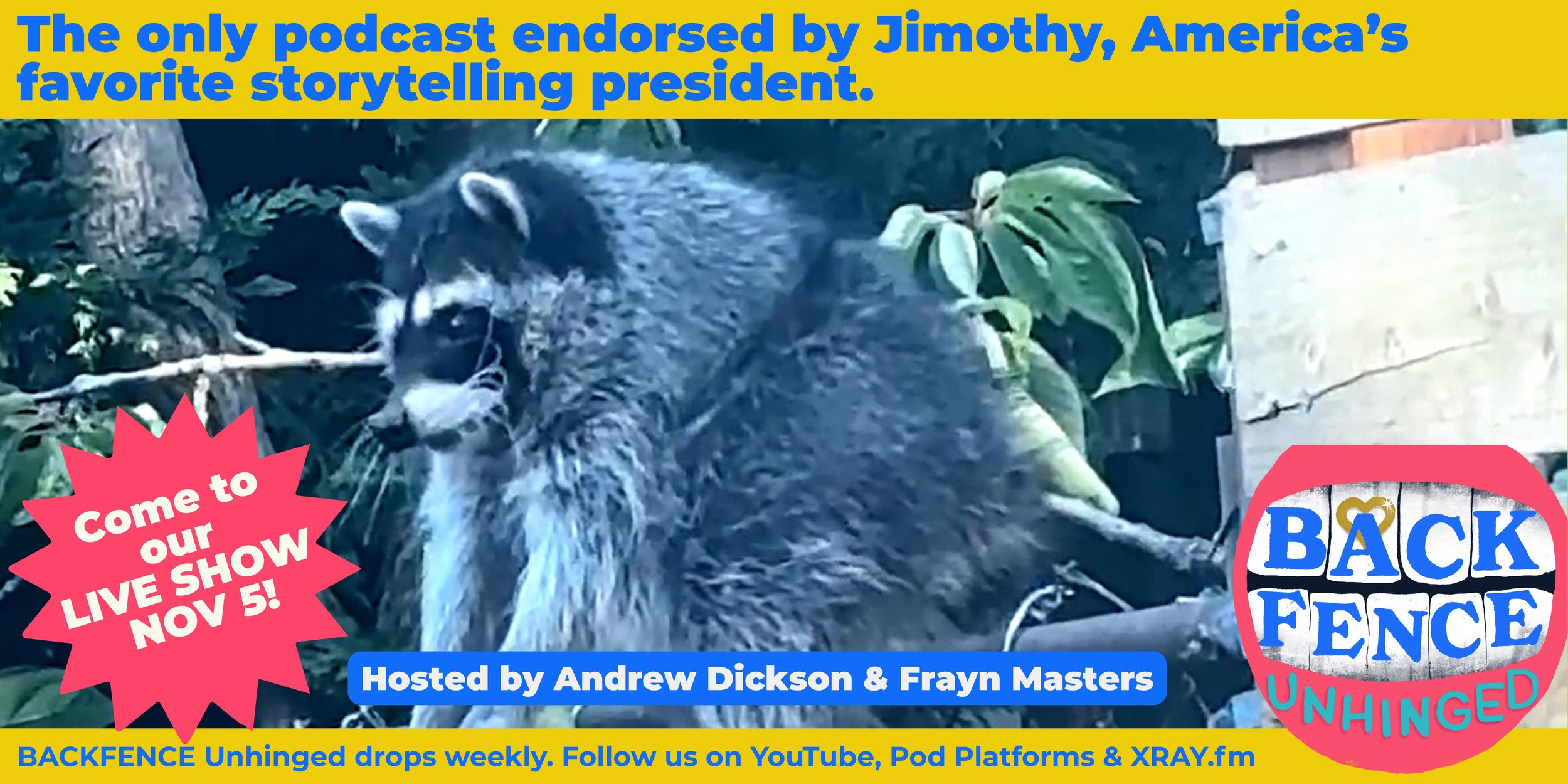 BFU  Jiminy Promo Banner.jpg