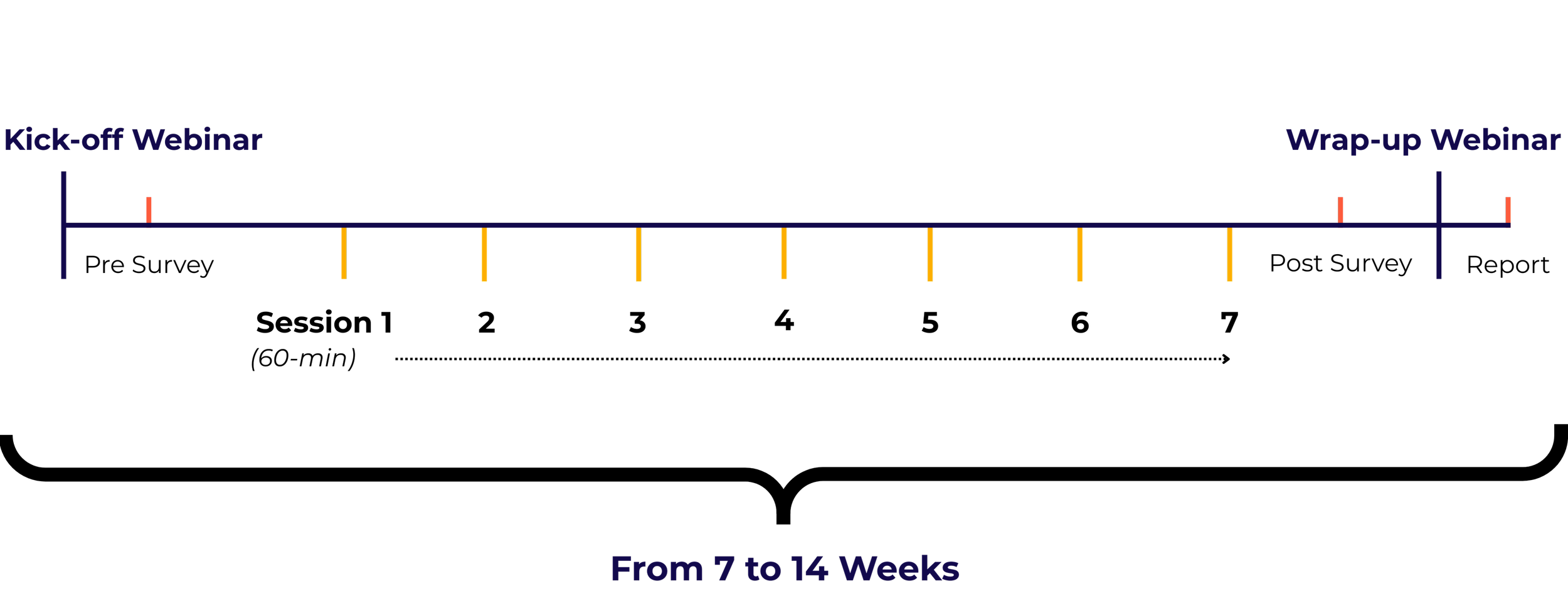 Timeline graphic showing a 14-week program with a kickoff webinar, three phases, and a wrap-up webinar, marked with different colors and labels.