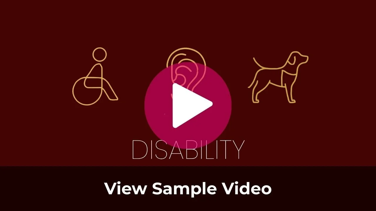 Illustration with simple line art of a person in a wheelchair, an ear representing hearing, and a dog, with the word 'DISABILITY' and a play button in the center.
