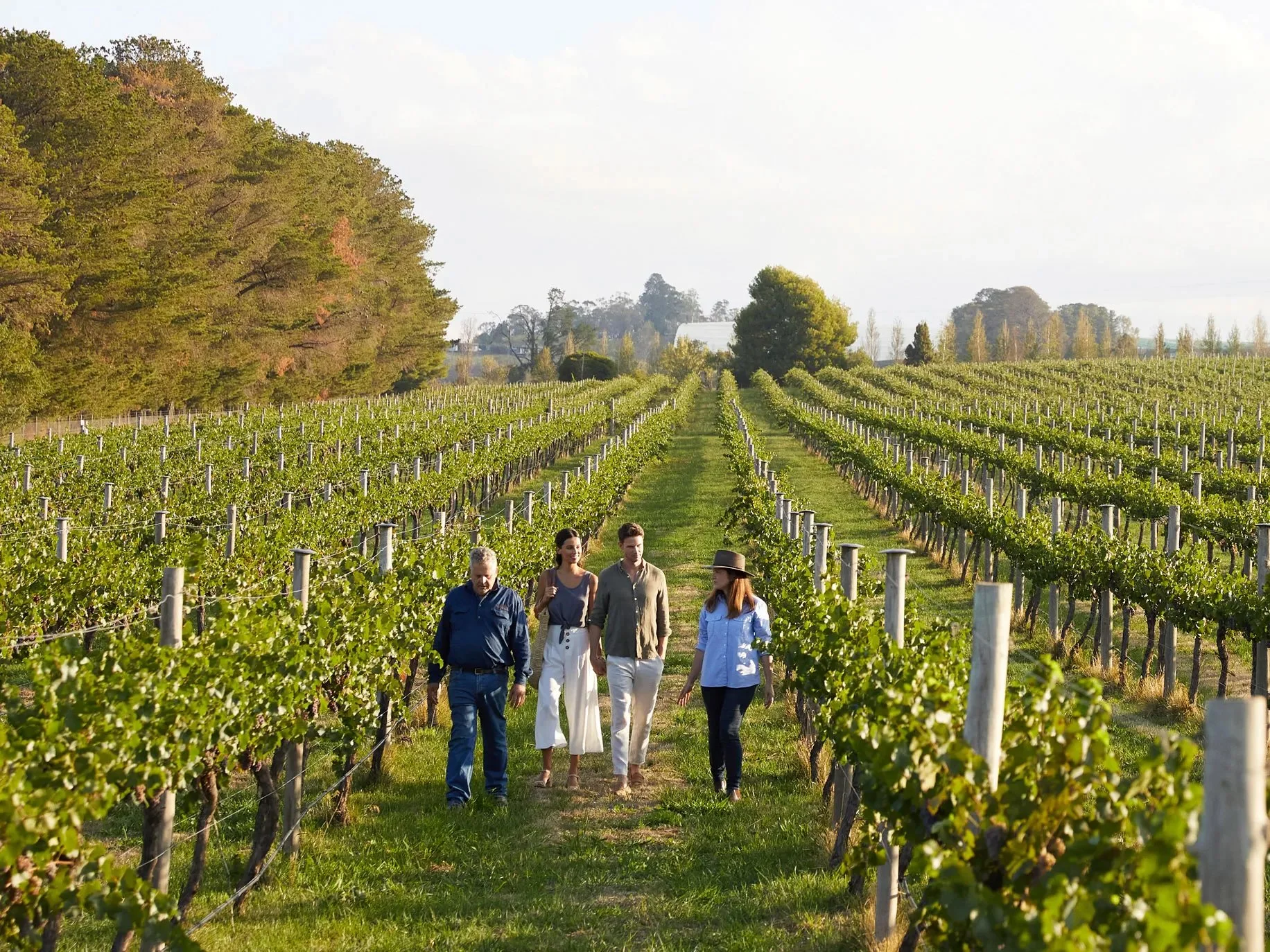 Orange-winery-ap-hero.jpg