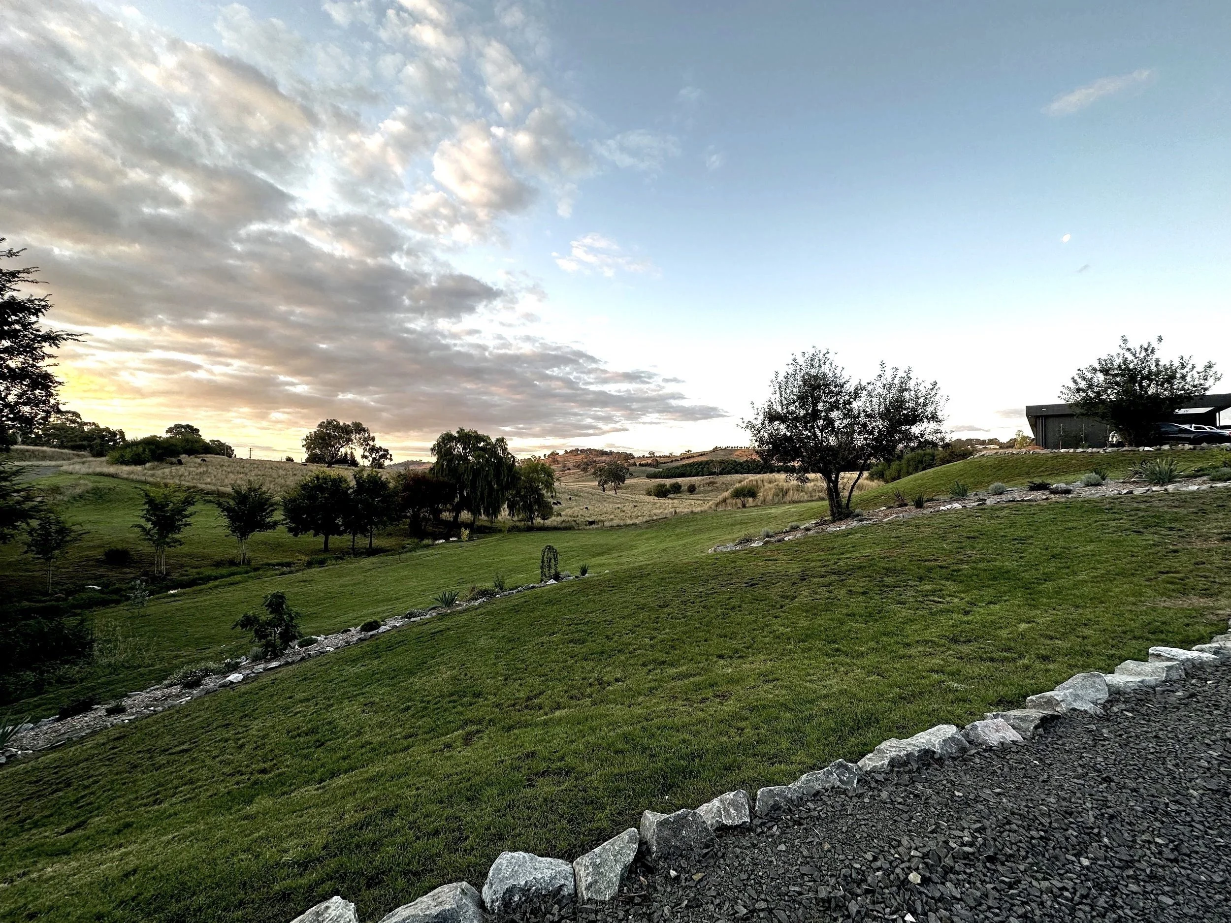 Boutique Lucknow The Horned Cow