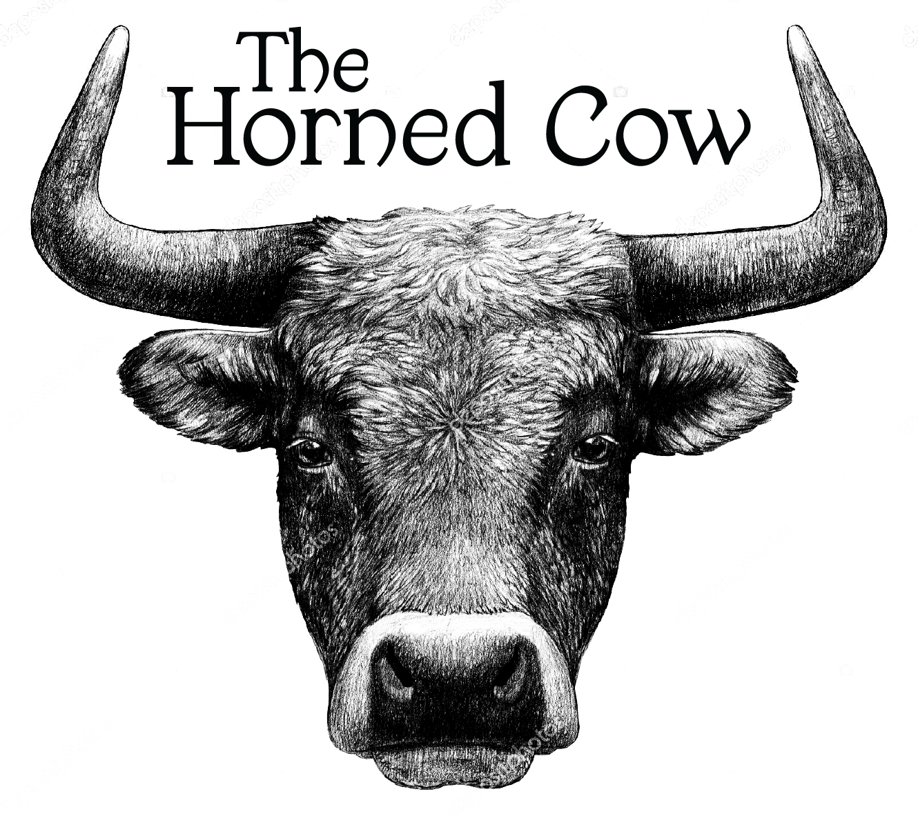 The Horned Cow