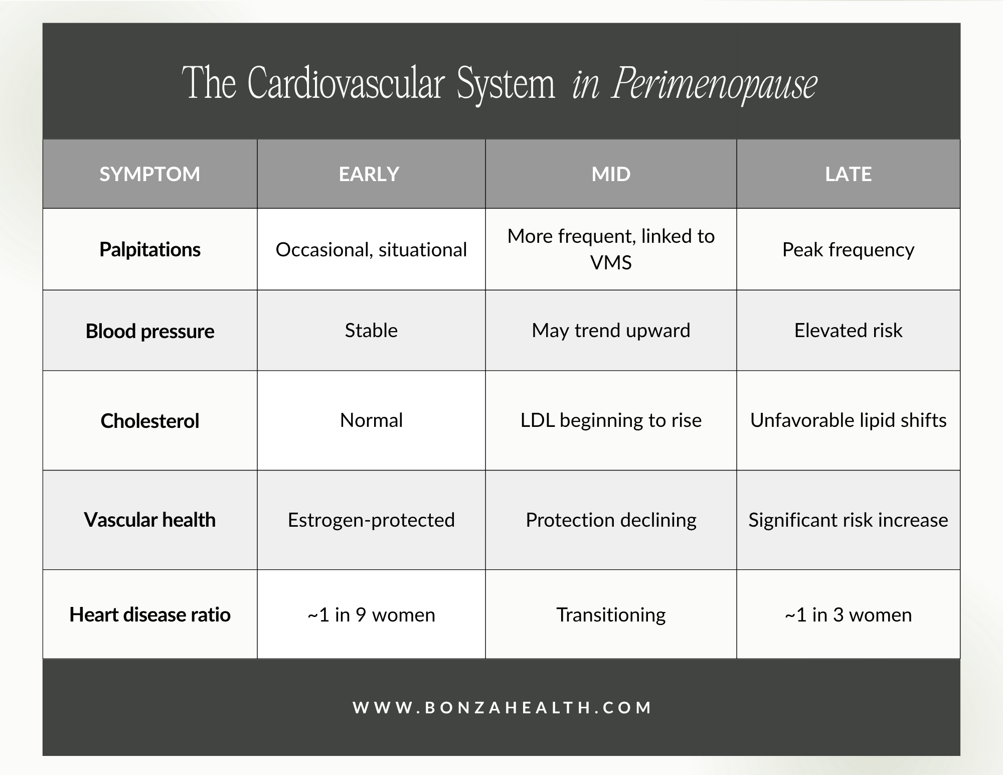 The cardiovascular system in perimenopause