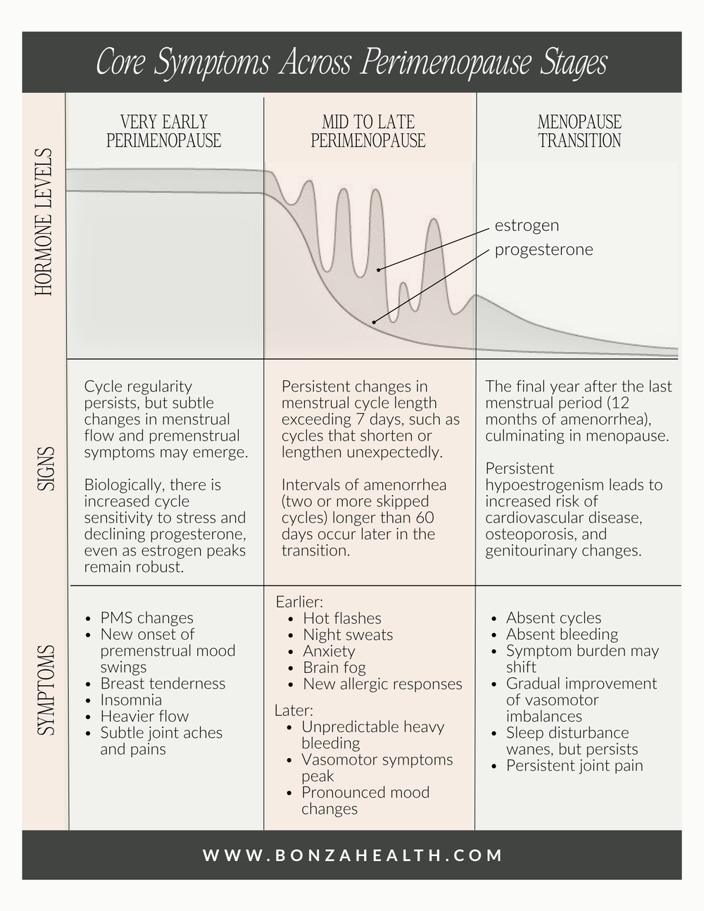 Four Stages of Perimenopause Guide — bonza health