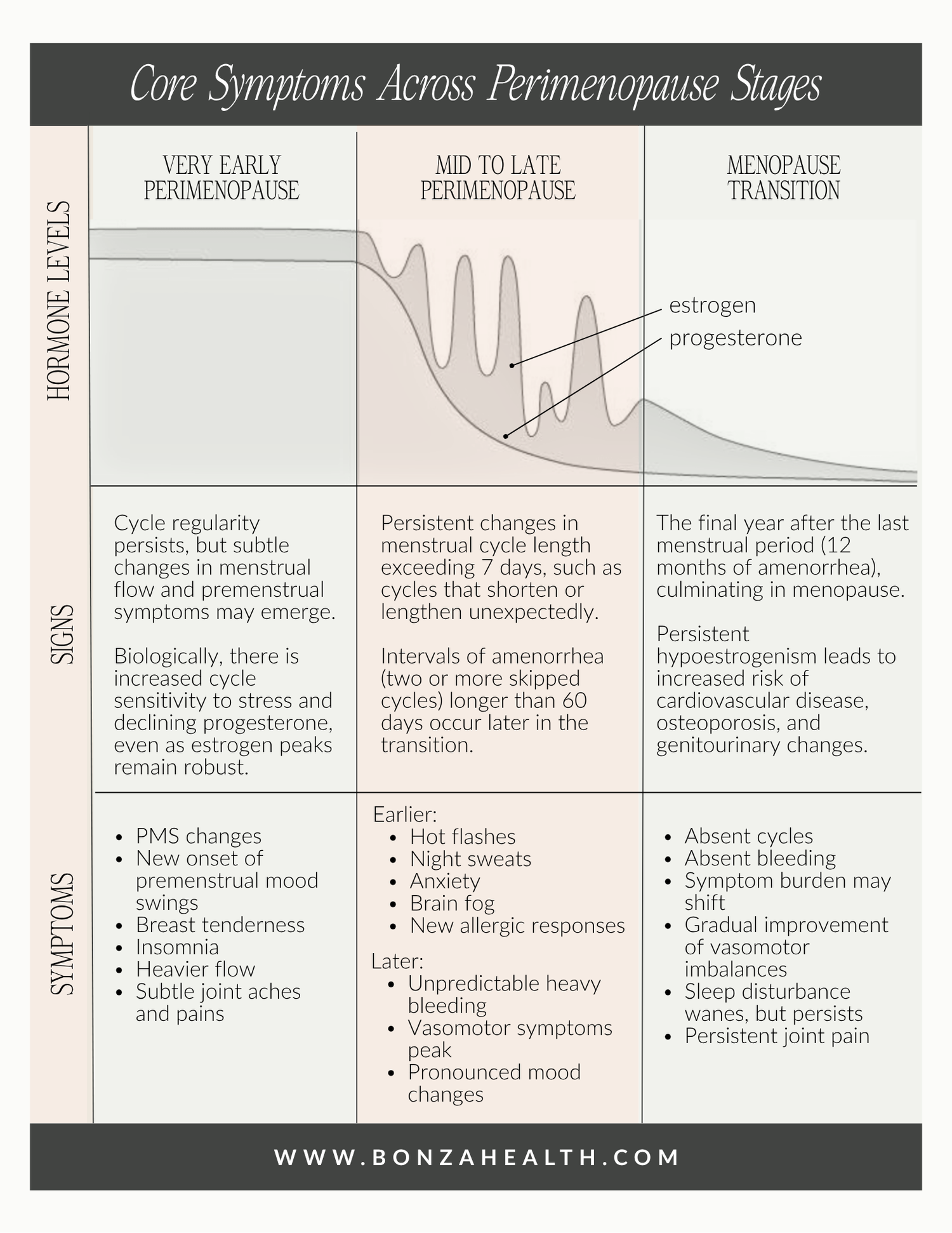Four Stages of Perimenopause Guide — bonza health