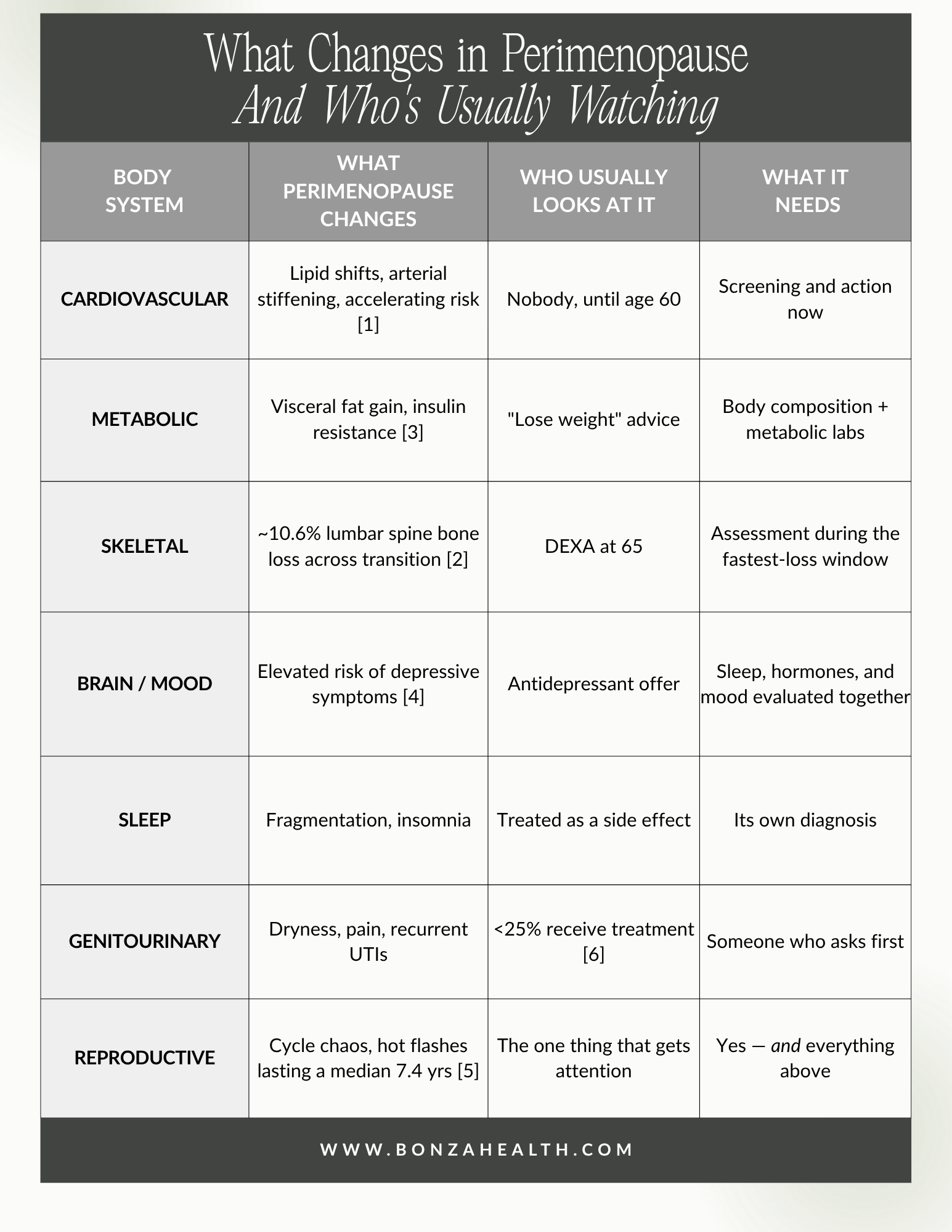 What Changes in Perimenopause, and Who's Usually Watching