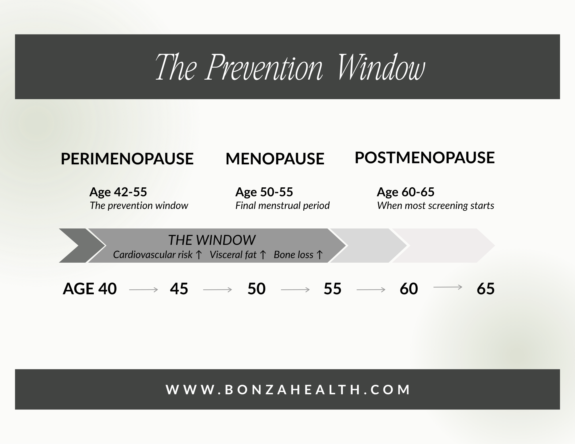 The prevention window of perimenopause