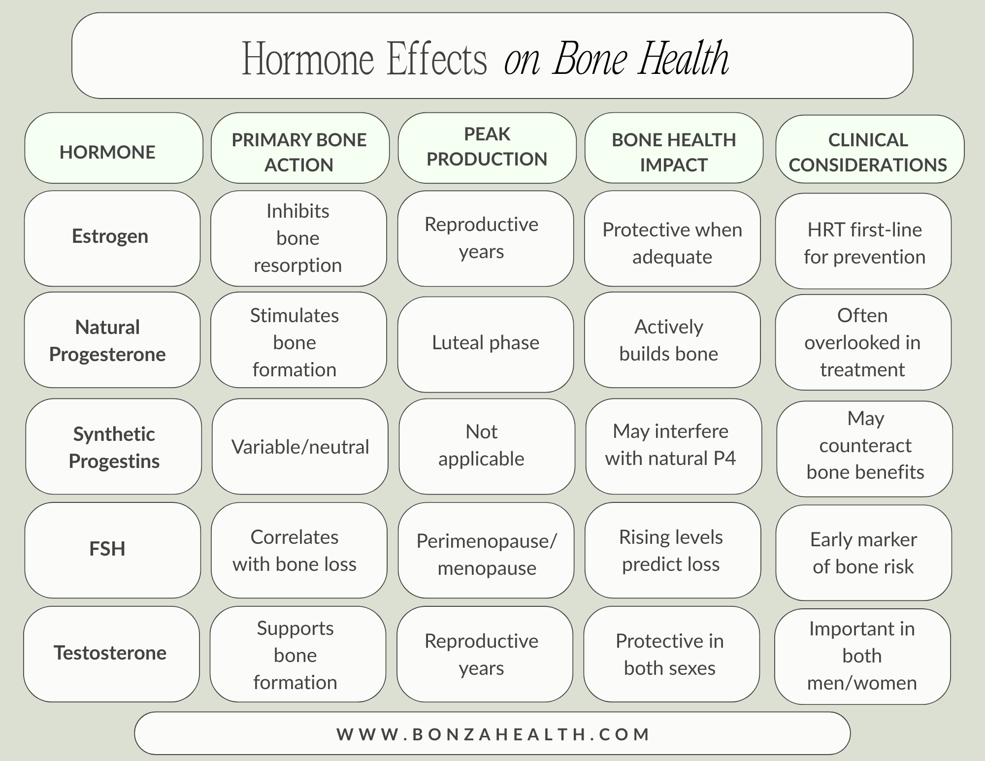 Hormone Effects on Bone Health