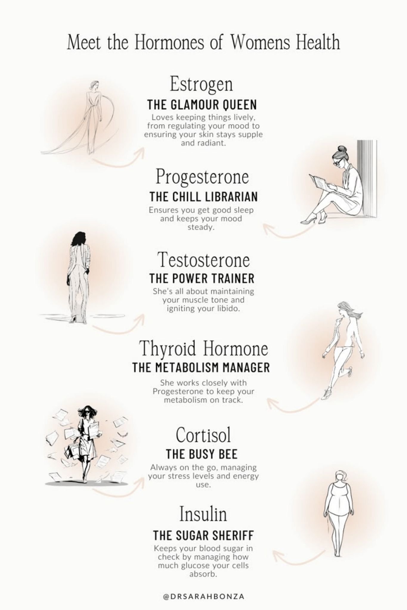 Overview of women’s health hormones with simple illustrations.