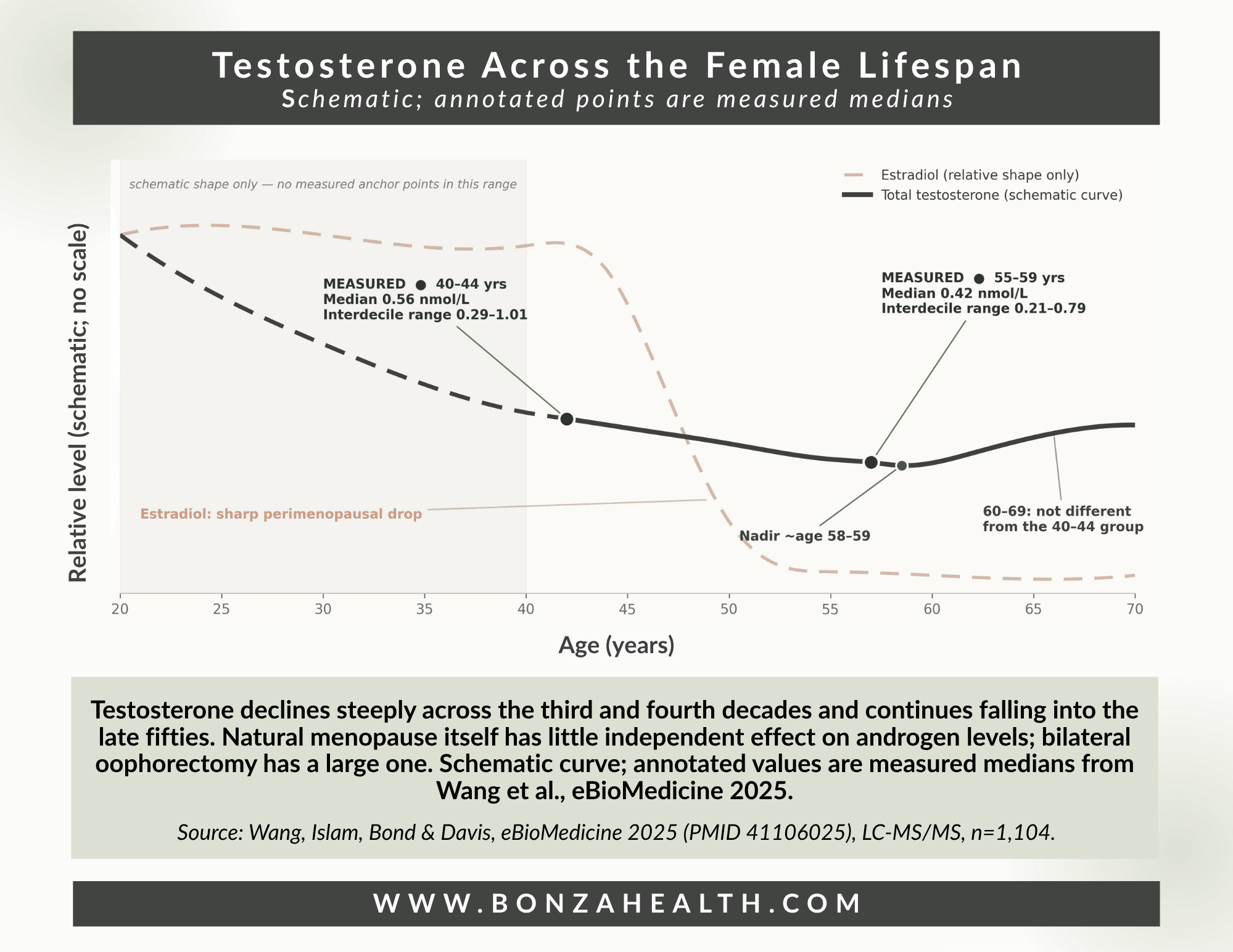 Figure 1. Testosterone across the female lifespan