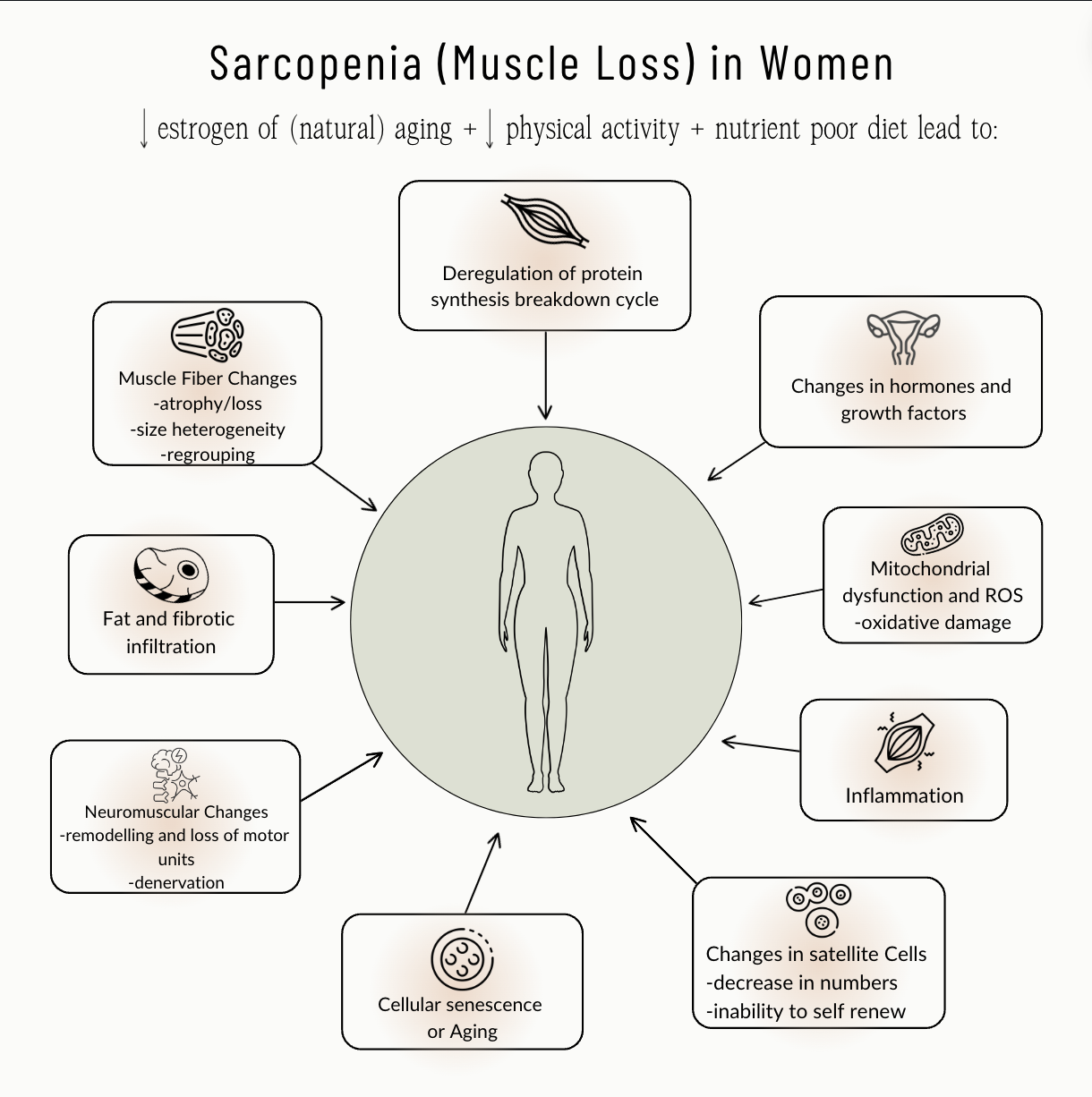 Sarcopenia causes and effects in women