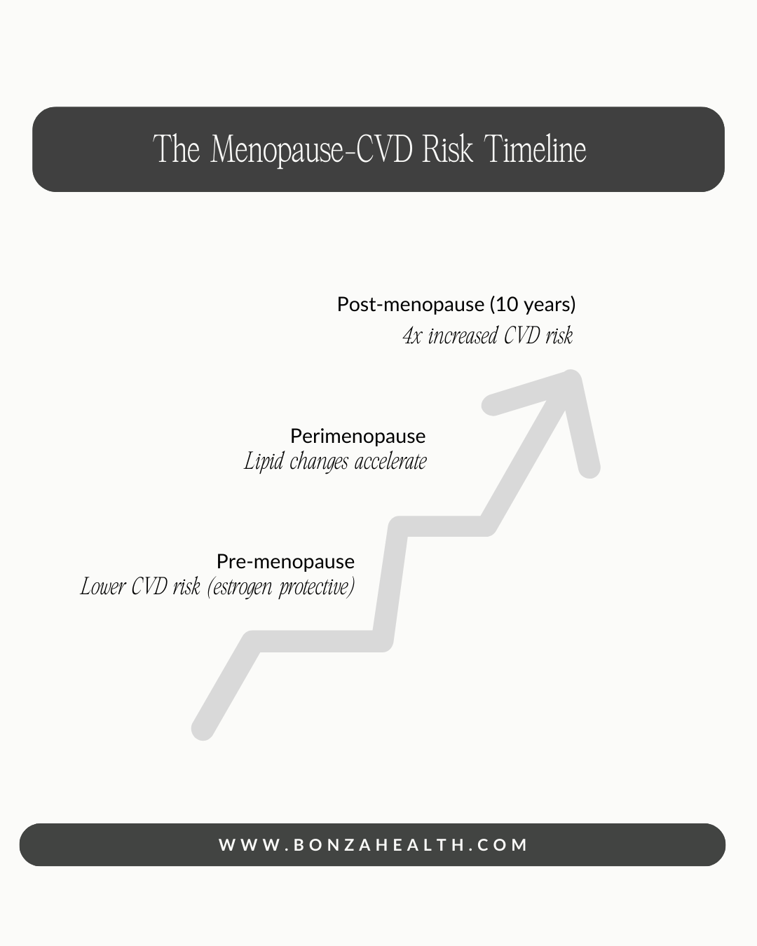 The menopause-CVD risk timeline