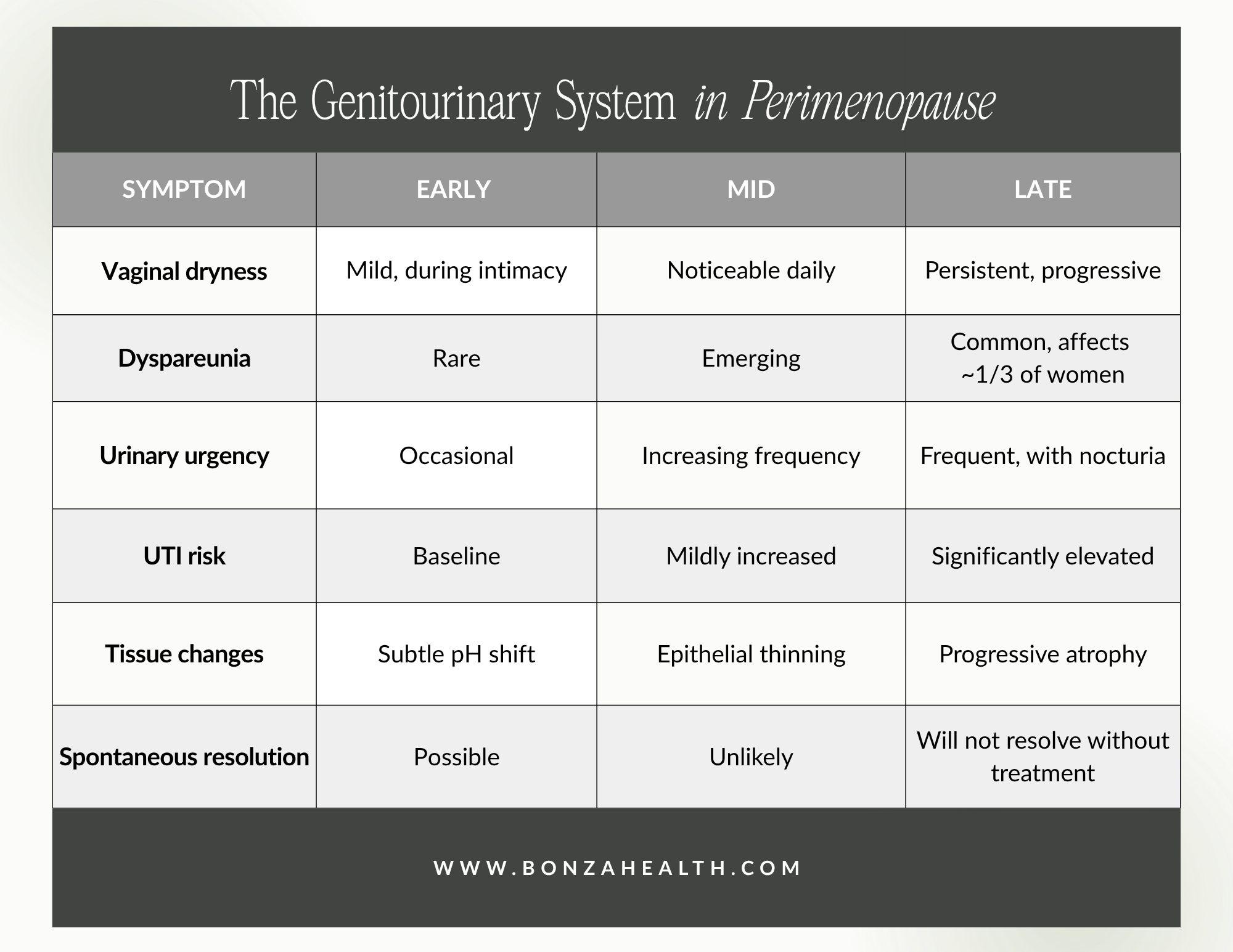 The genitourinary system in perimenopause