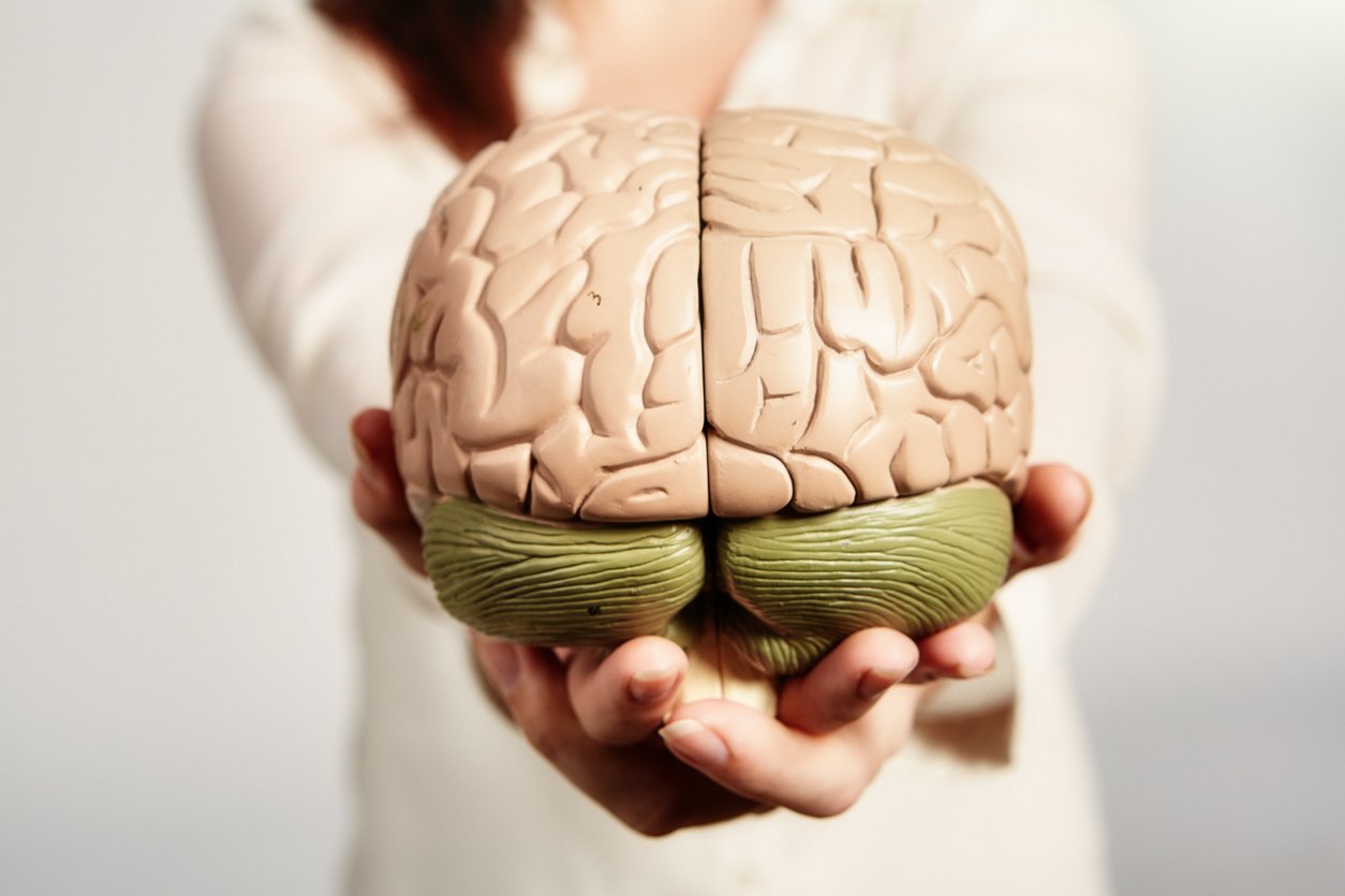 Estrogen's role in brain health through perimenopause and beyond